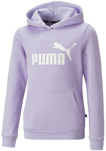 PUMA Kapuzensweatshirt »ESS Logo Hoodie FL G« kaufen