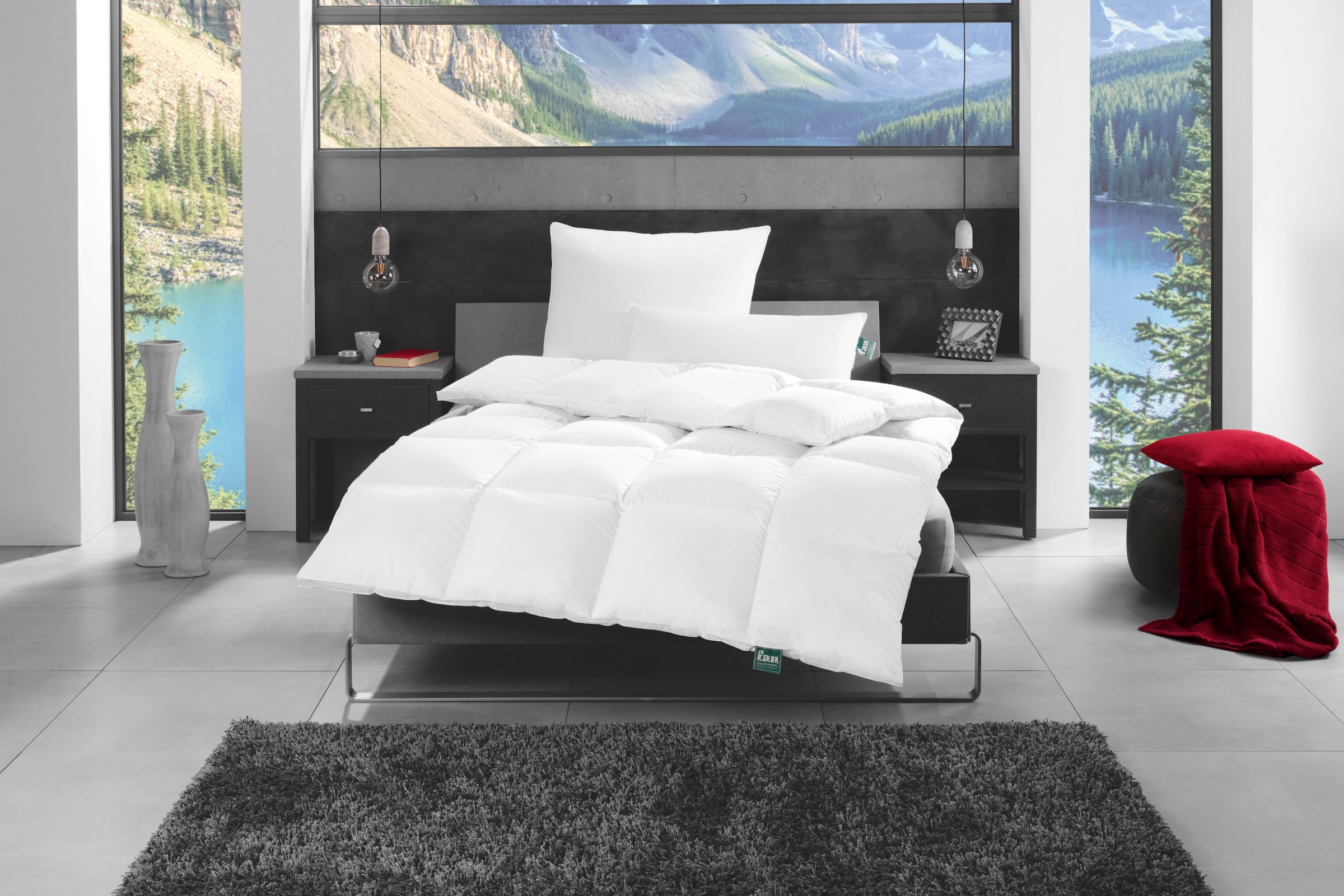 f.a.n. Schlafkomfort Daunenbettdecke »f.a.n. Canada«, normal, (1 St.)  kaufen | BAUR