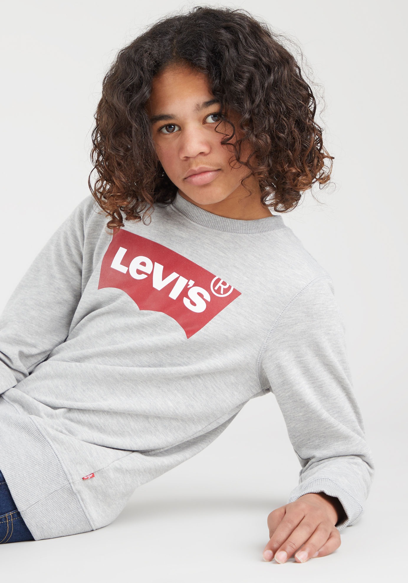 Levi's® Kids Sweatshirt »LVB LVB FRENCH TERRY BATWING«, mit großem Logo