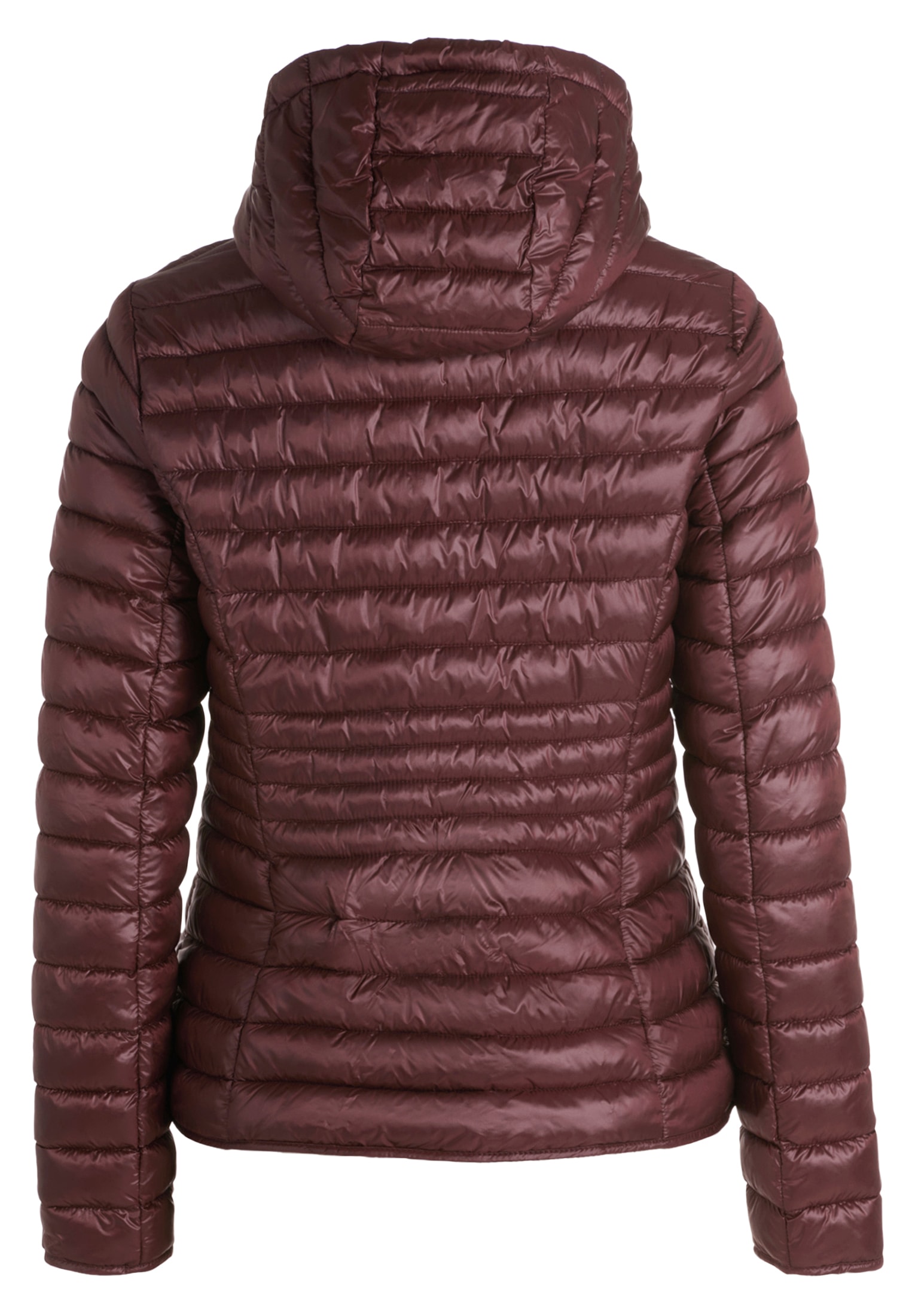 Cartoon Steppjacke »Cartoon Damen Steppjacke mit Reißverschlusstaschen«, mit Kapuze