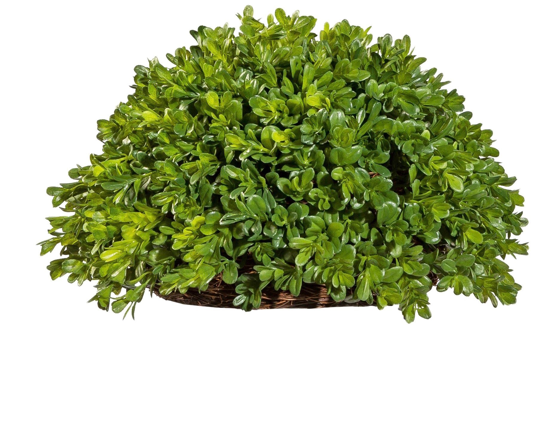 Creativ green Kunstpflanze »Buchsbaum Halbkugel«