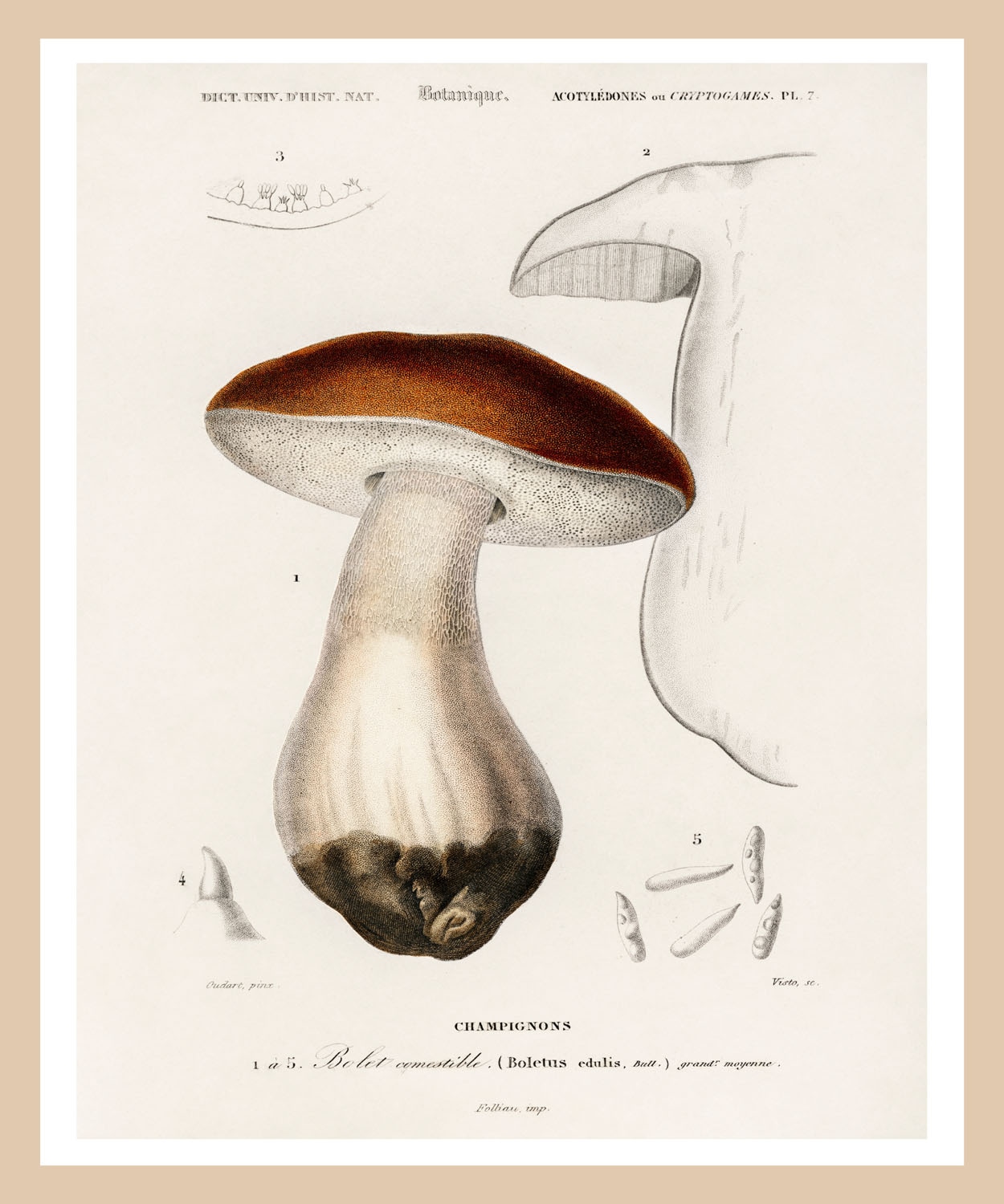 queence Bild mit Rahmen »Detailbild Pilz«, Jahreszeiten-Pilze-Weihnachten, (1 St.), Premium Rahmenbild, liebevolle Handarbeit
