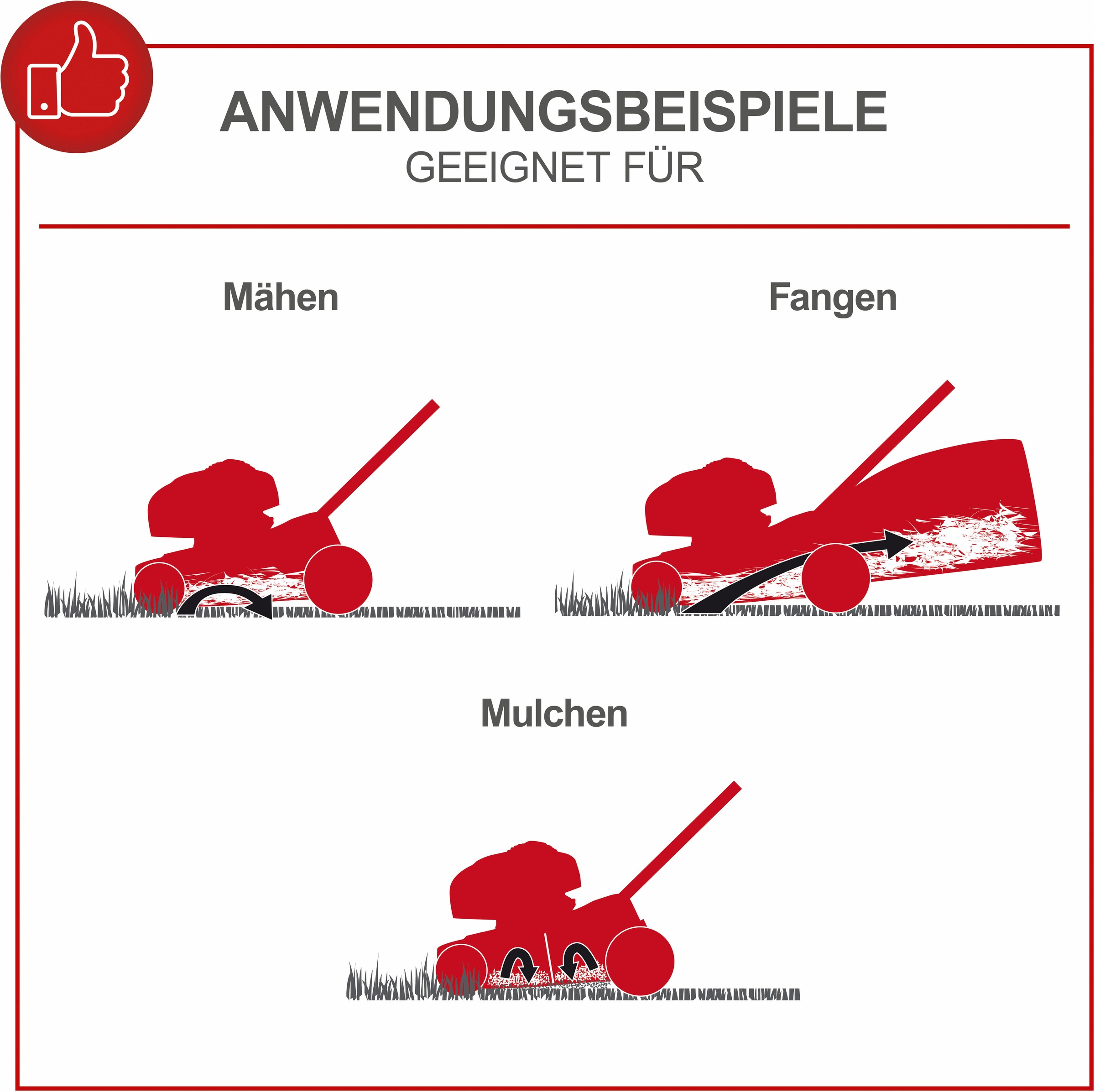 Scheppach Benzinrasenmäher »MS225-56«