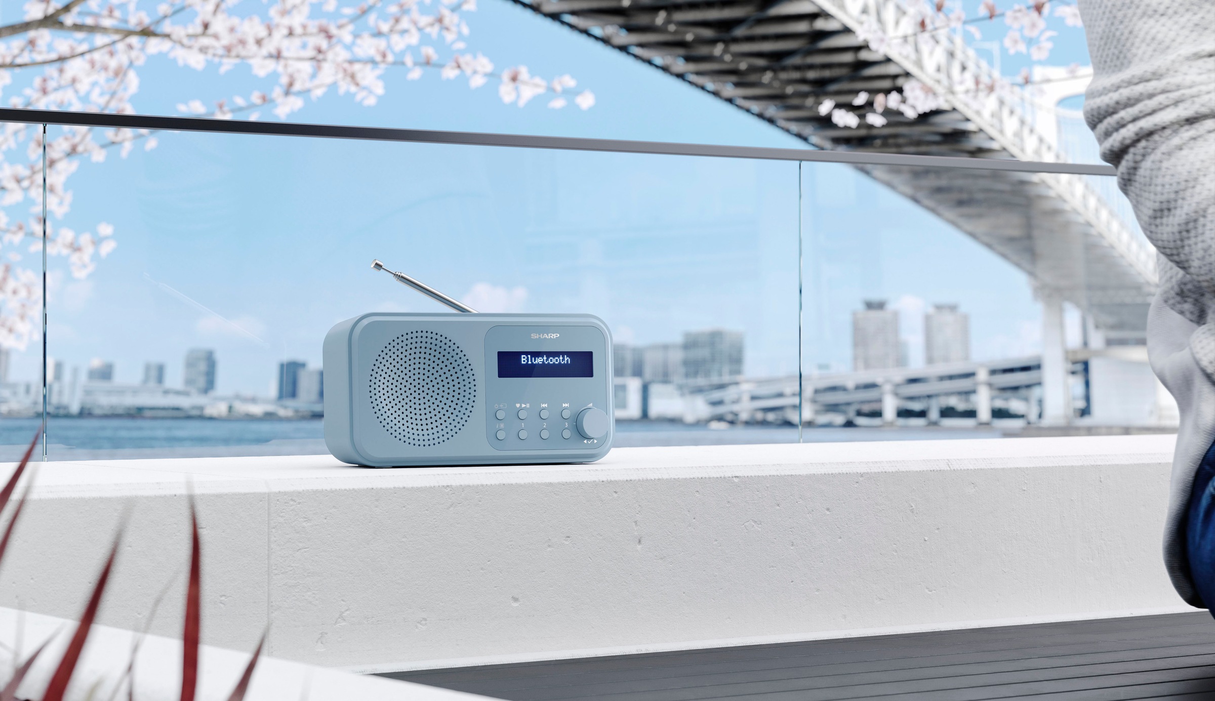 Sharp Radio »DR-P420«, (Bluetooth-A2DP Bluetooth-AVRCP Bluetooth Digitalradio (DAB+)-FM-Tuner mit RDS 2 W)