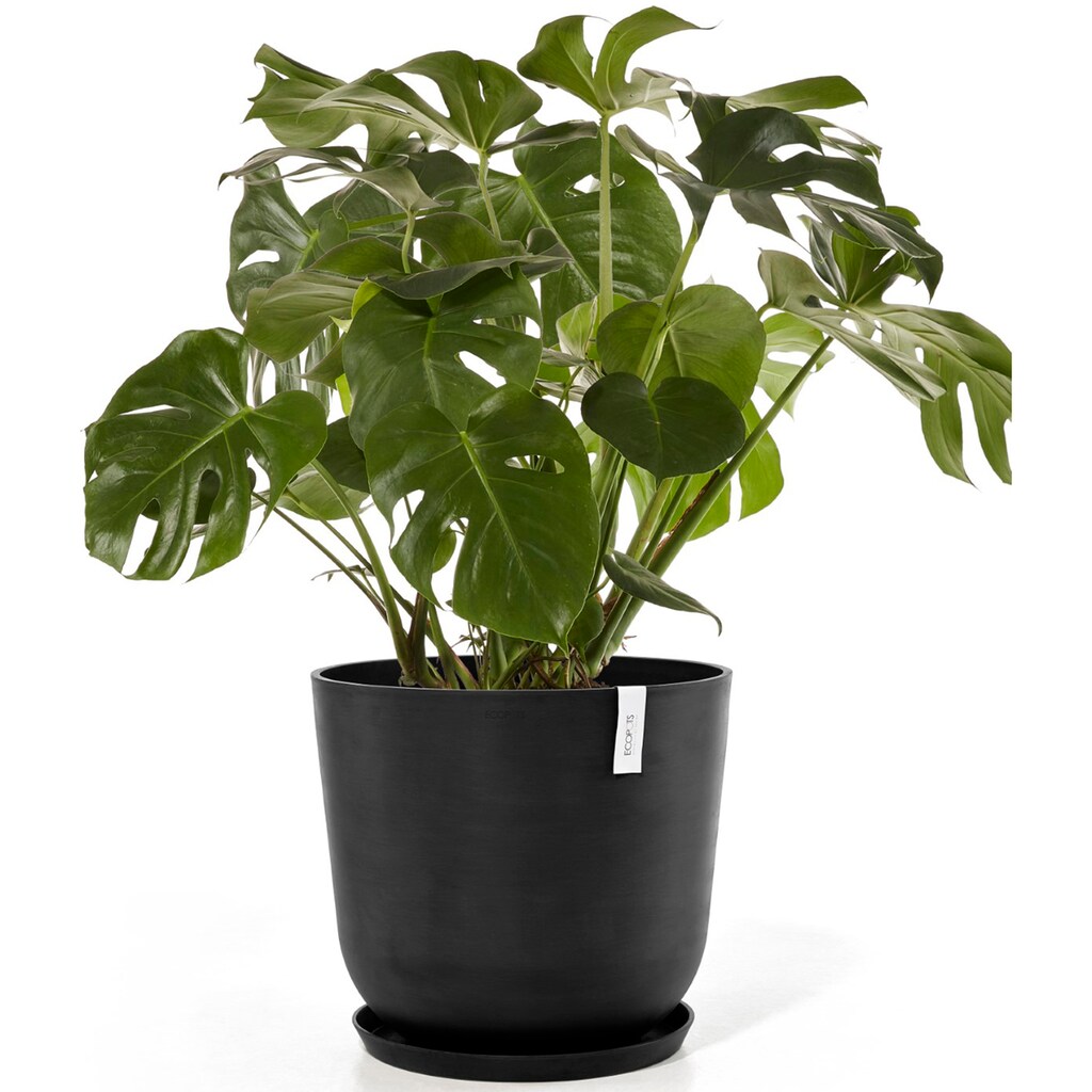 ECOPOTS Blumentopf »Oslo 55 + Wassersystem Dunkelgrau«