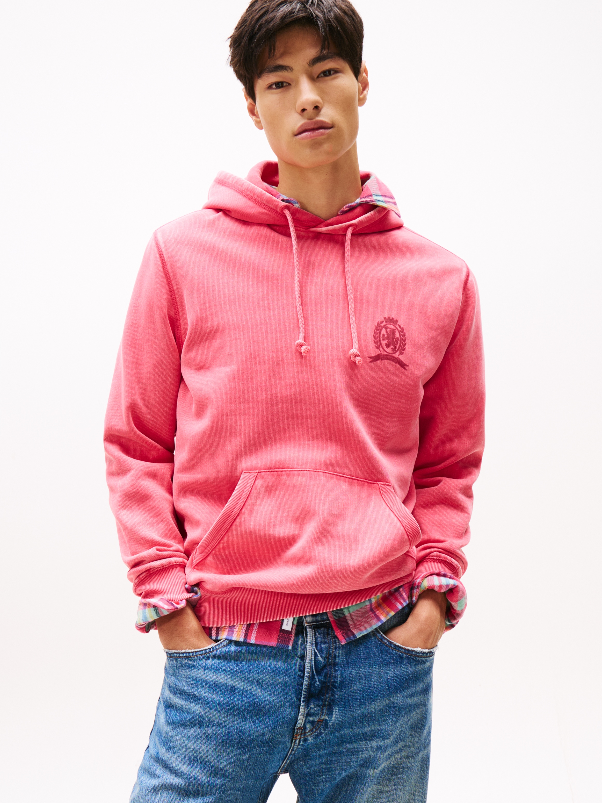 Tommy Jeans Hoodie "TJM WASHED CREST PLAY", regular fit, Sweatshirt, Rücken günstig online kaufen