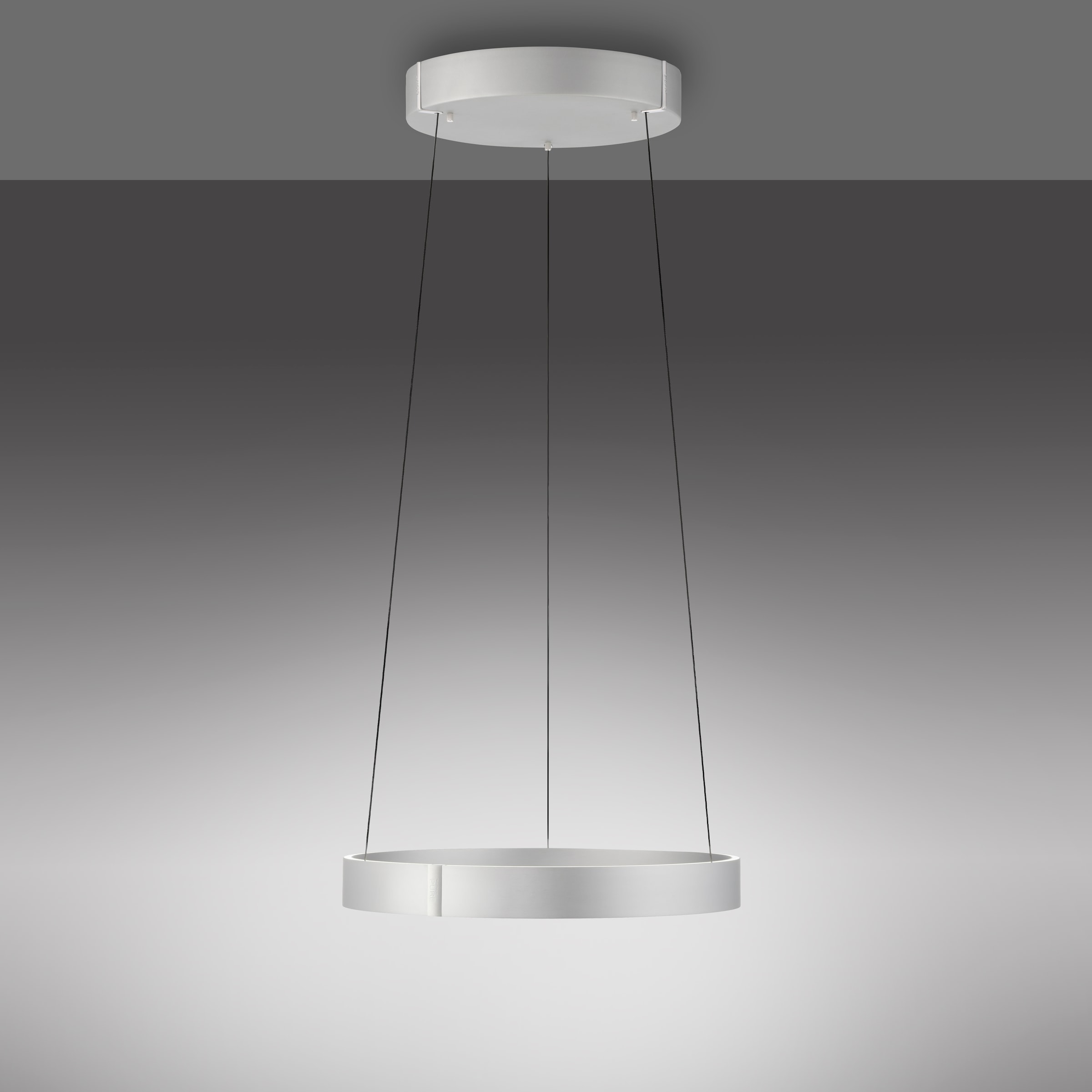 Neuhaus PURE LED Pendelleuchte »PURE E-Clipse« LED-Board 1 Stk. warmweiß - kaltweiß e-LIFT®-Funktion, CCT, dimmbar über Fernbedíenung