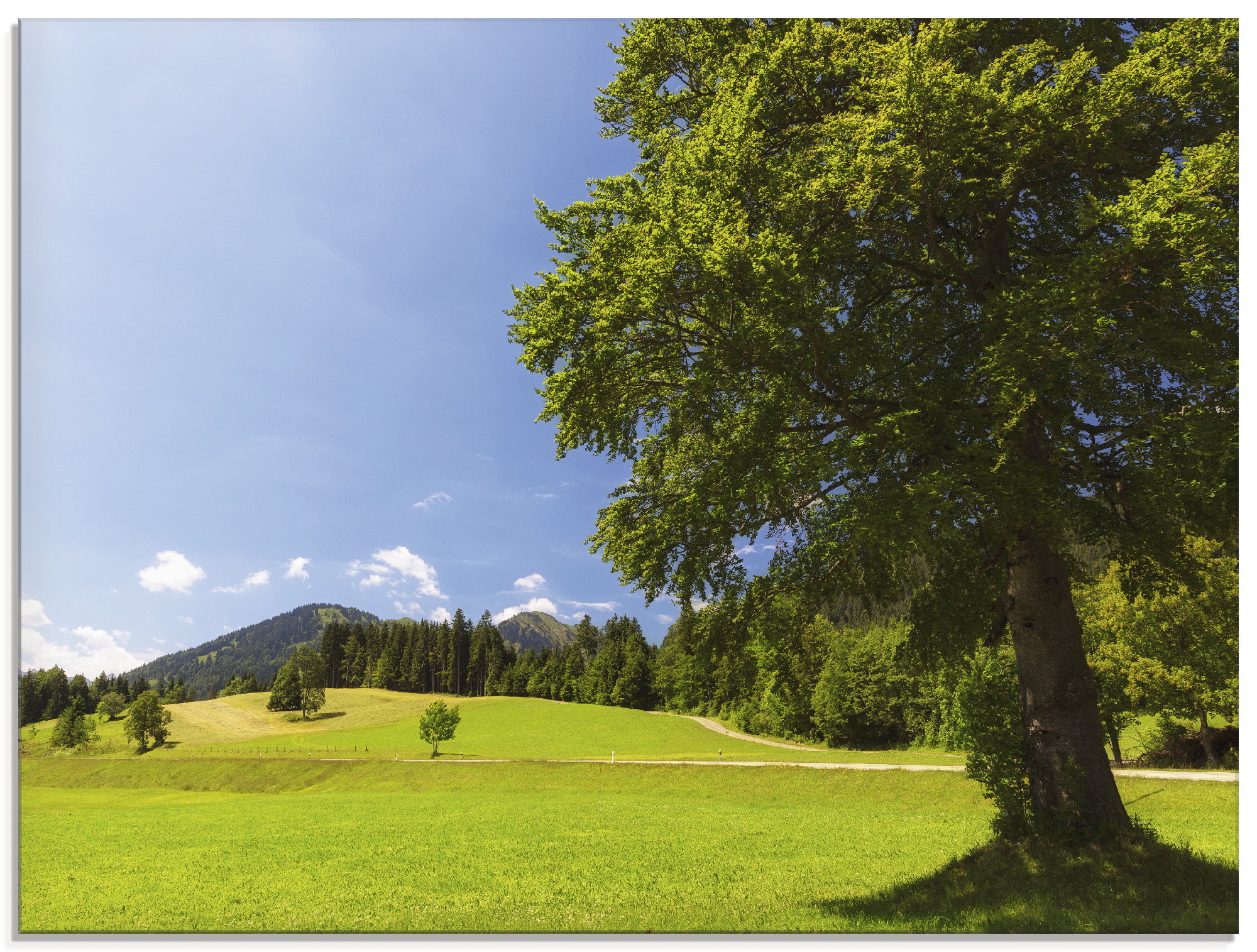 Artland Glasbild "Bayrische Landschaft" Wiesen & Bäume 1 Stk. tlg. in verschiedenen Größen