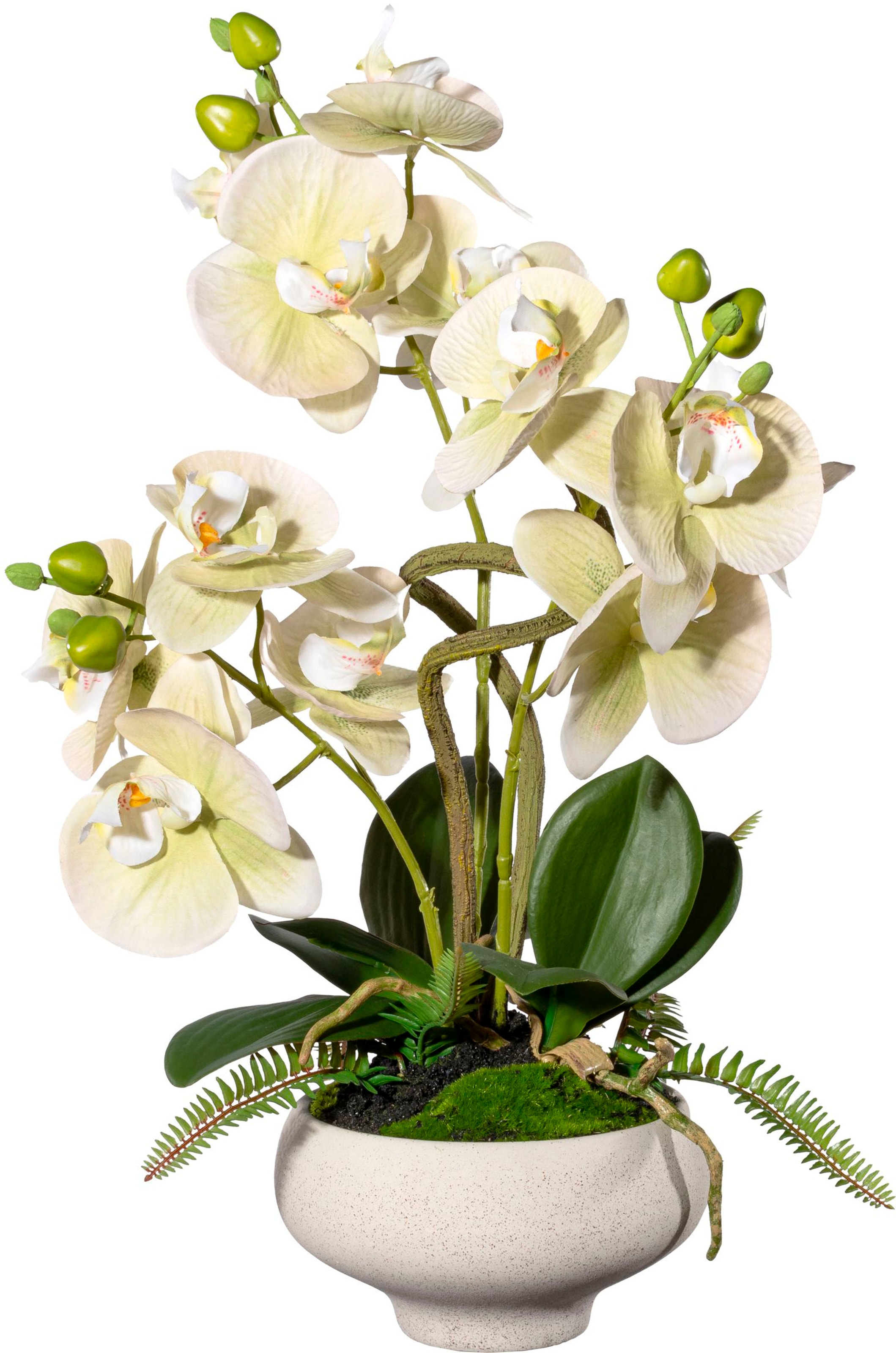 Creativ green Kunstorchidee »Orchidee Phalaenopsis im Keramiktopf«