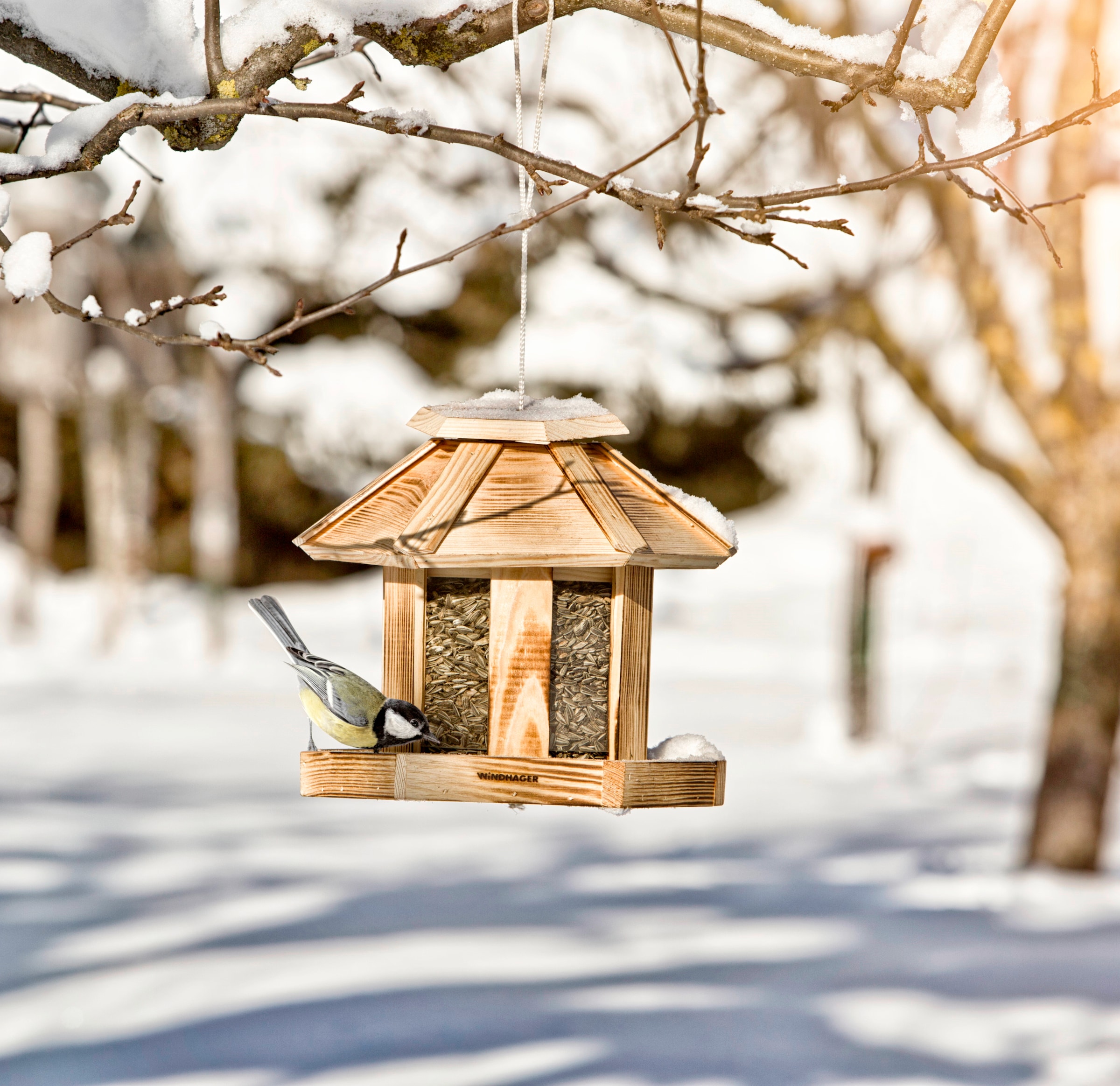 Windhager Vogelhaus »Wilder Kaiser, Vogelfuttersilo aus Echtholz« Futterstation inkl. Aufhängung und Sitzmöglichkeit, Füllvolumen 3l