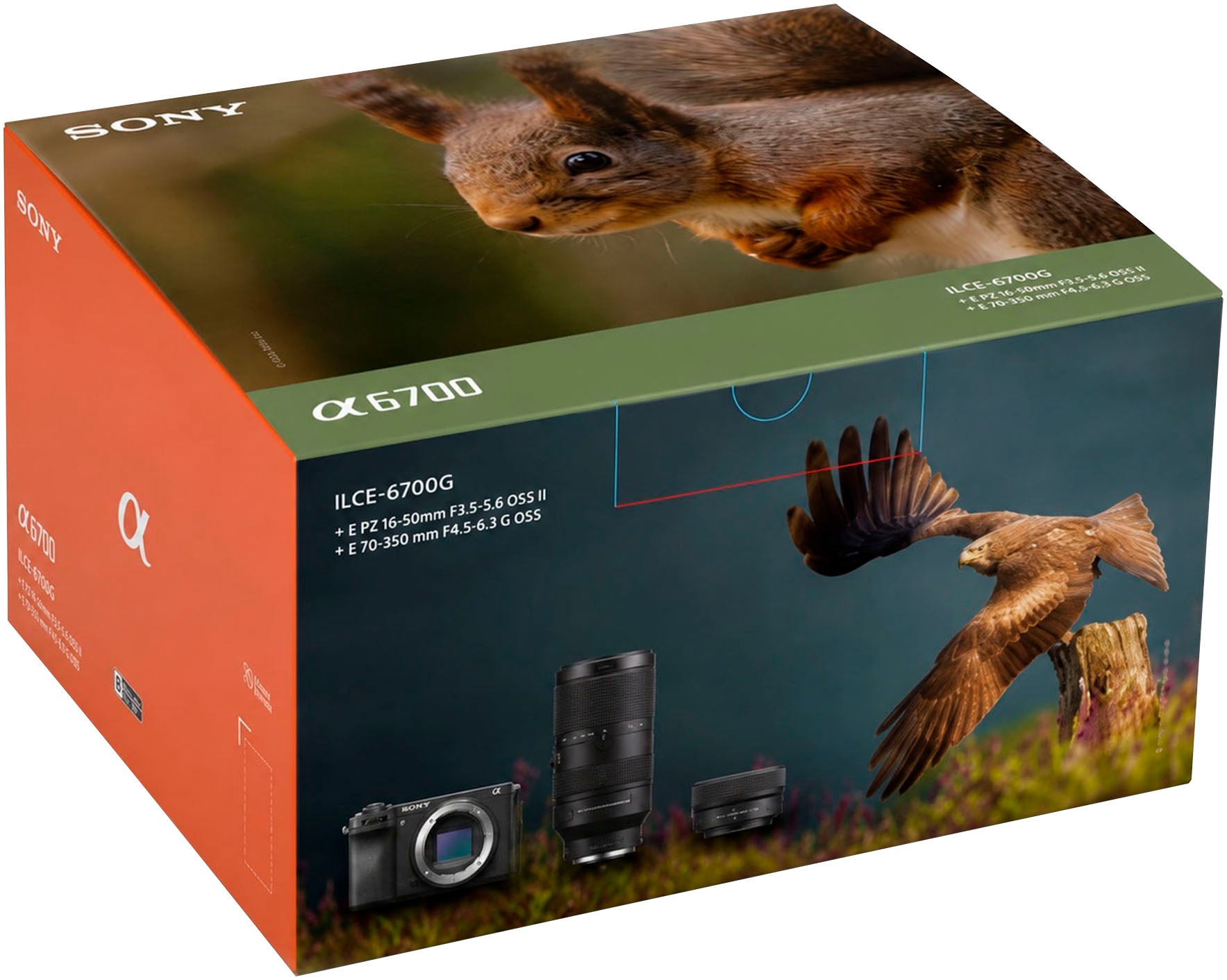 Sony Systemkamera »Alpha 6700« E PZ 16–50mm F3.5–5.6 OSS , E 70–350mm F4.5–6.3 G OSS , 27 , Bluetooth , inkl. Sony Alpha 6700G spiegellose APS-C-Kamera für Wildlife-Aufnahmen