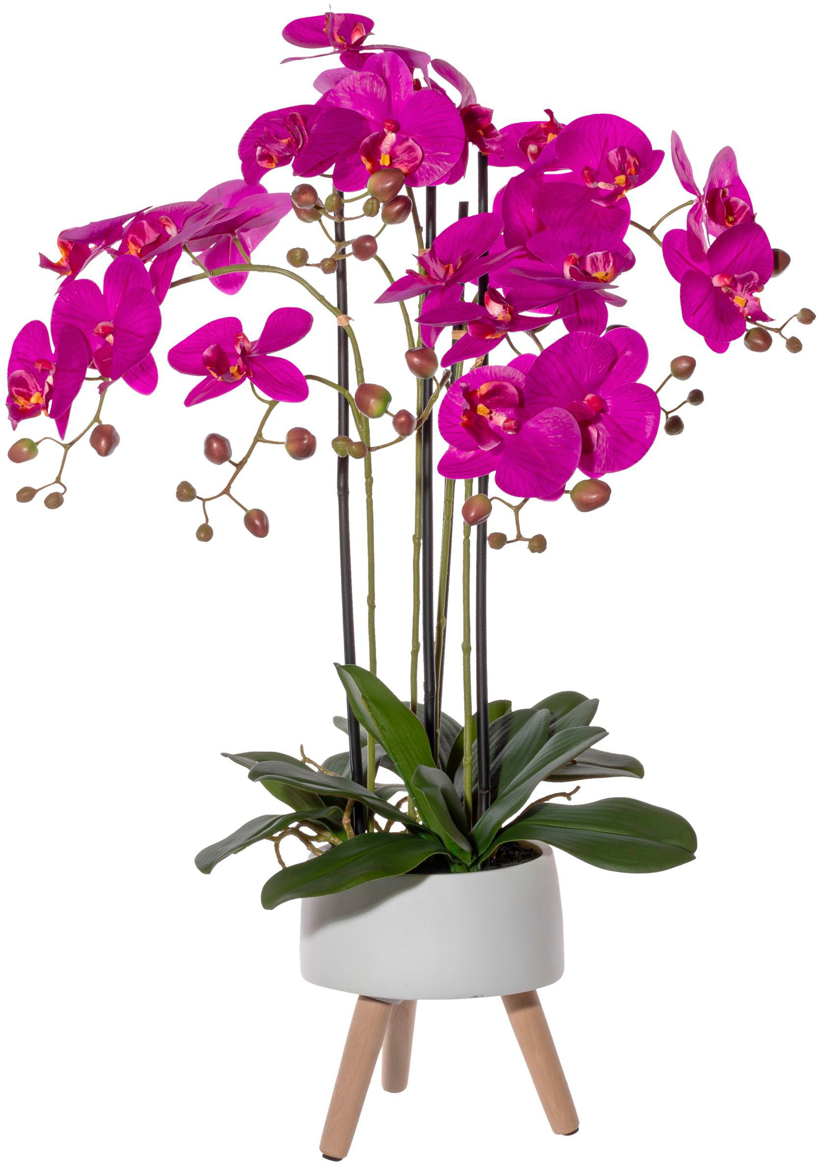 Creativ green Kunstorchidee »Orchidee Phalaenopsis in Keramikschale«, mit Real-Touch-Blüten und auf Füßen