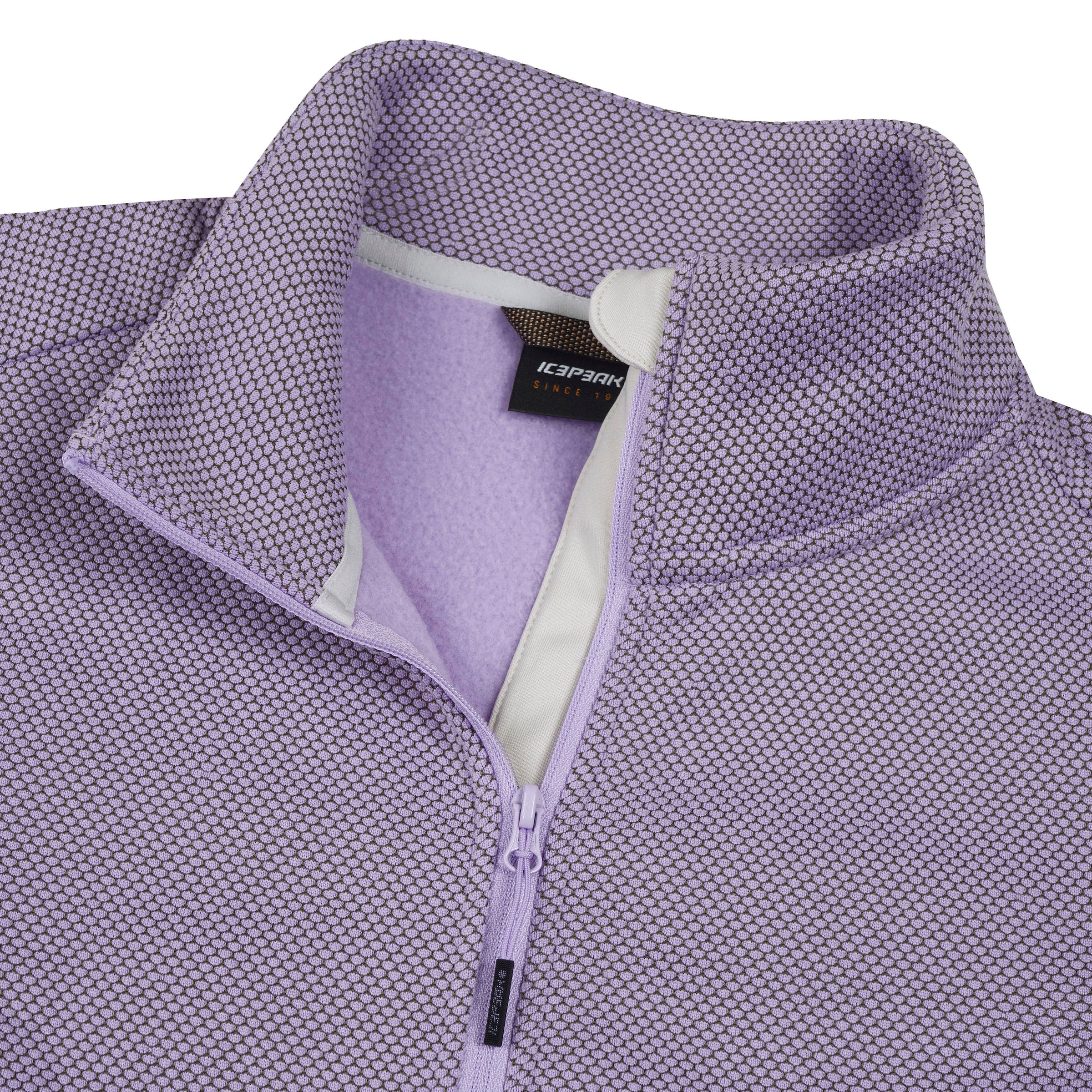 Icepeak Fleecejacke »BOWERSVILLE« sportlicher Stil, leichtes Thermal-Material, schnell trocknend