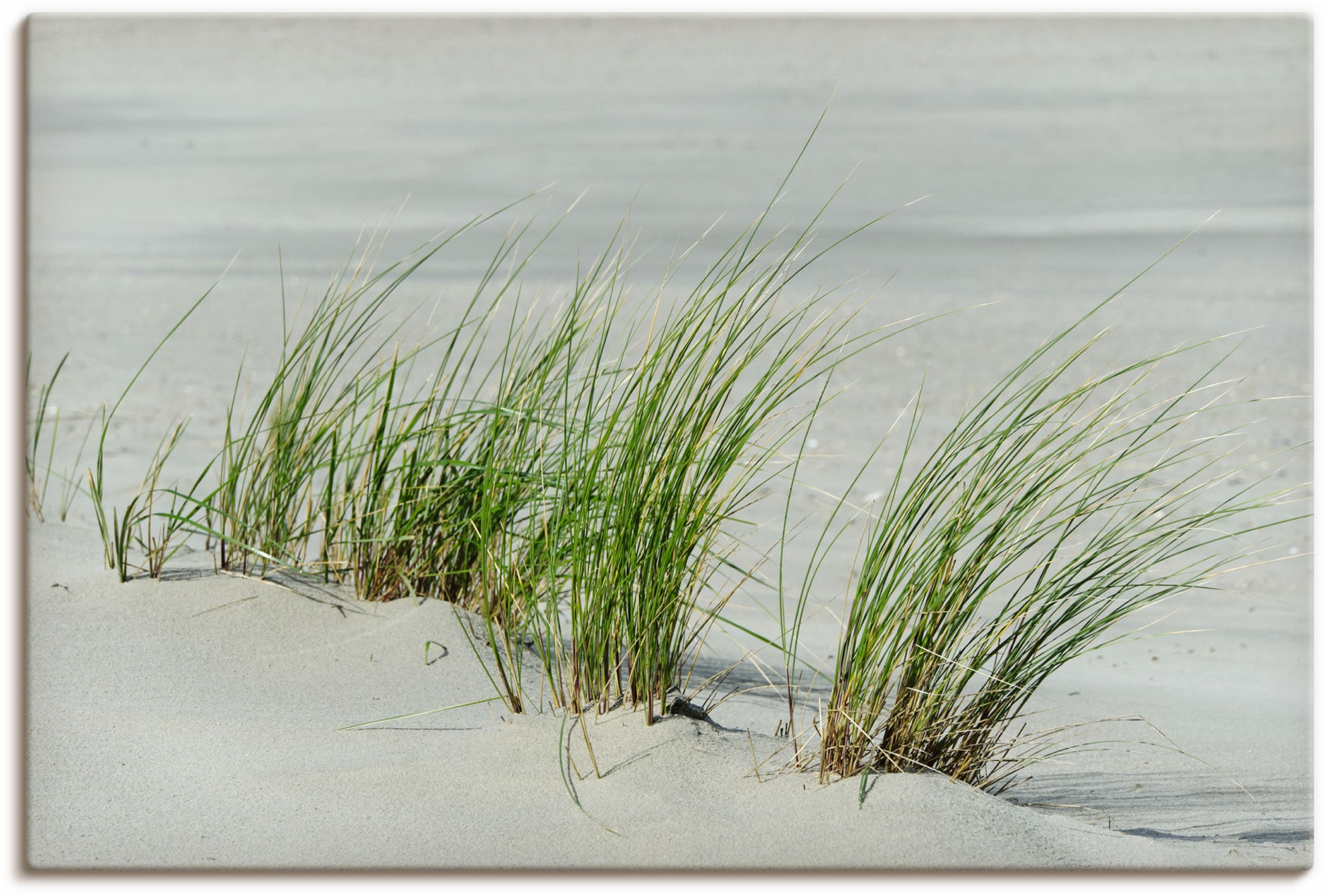 Leinwandbild »Gräser am Strand«, Strandbilder, (1 St.), auf Keilrahmen gespannt