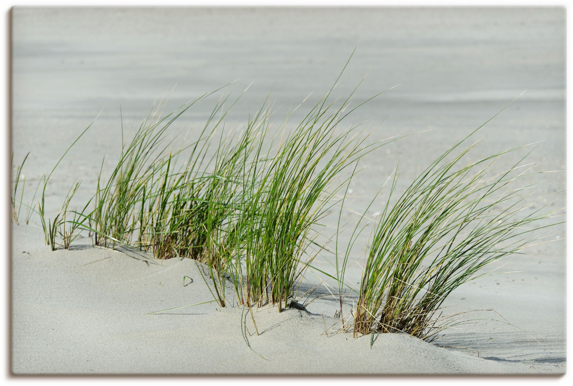 Artland "Gräser am Strand" Strandbilder 1 Stk. tlg. auf Holzrahmen gespannt günstig online kaufen