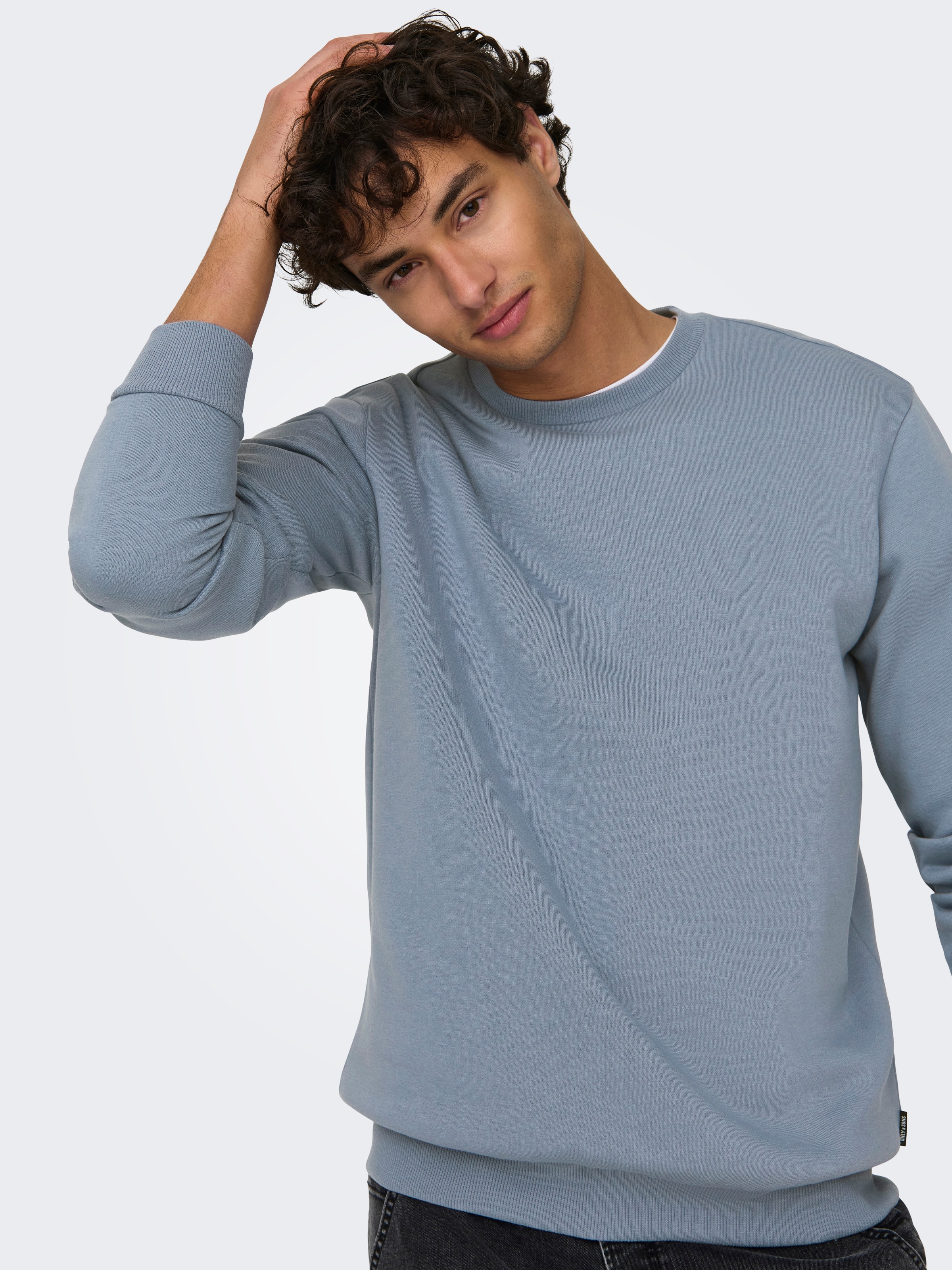 ONLY & SONS Sweatshirt ONSCERES CREW günstig online kaufen