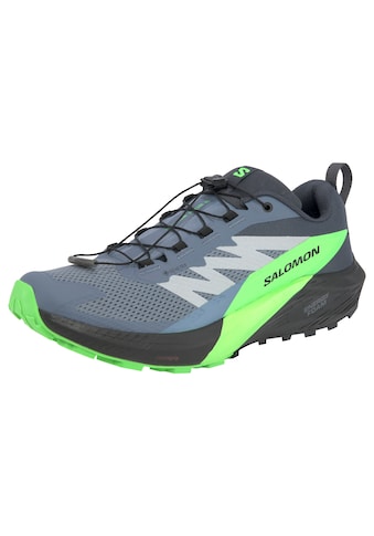 Salomon Trailrunningschuh »SENSE RIDE 5 GORE-T...