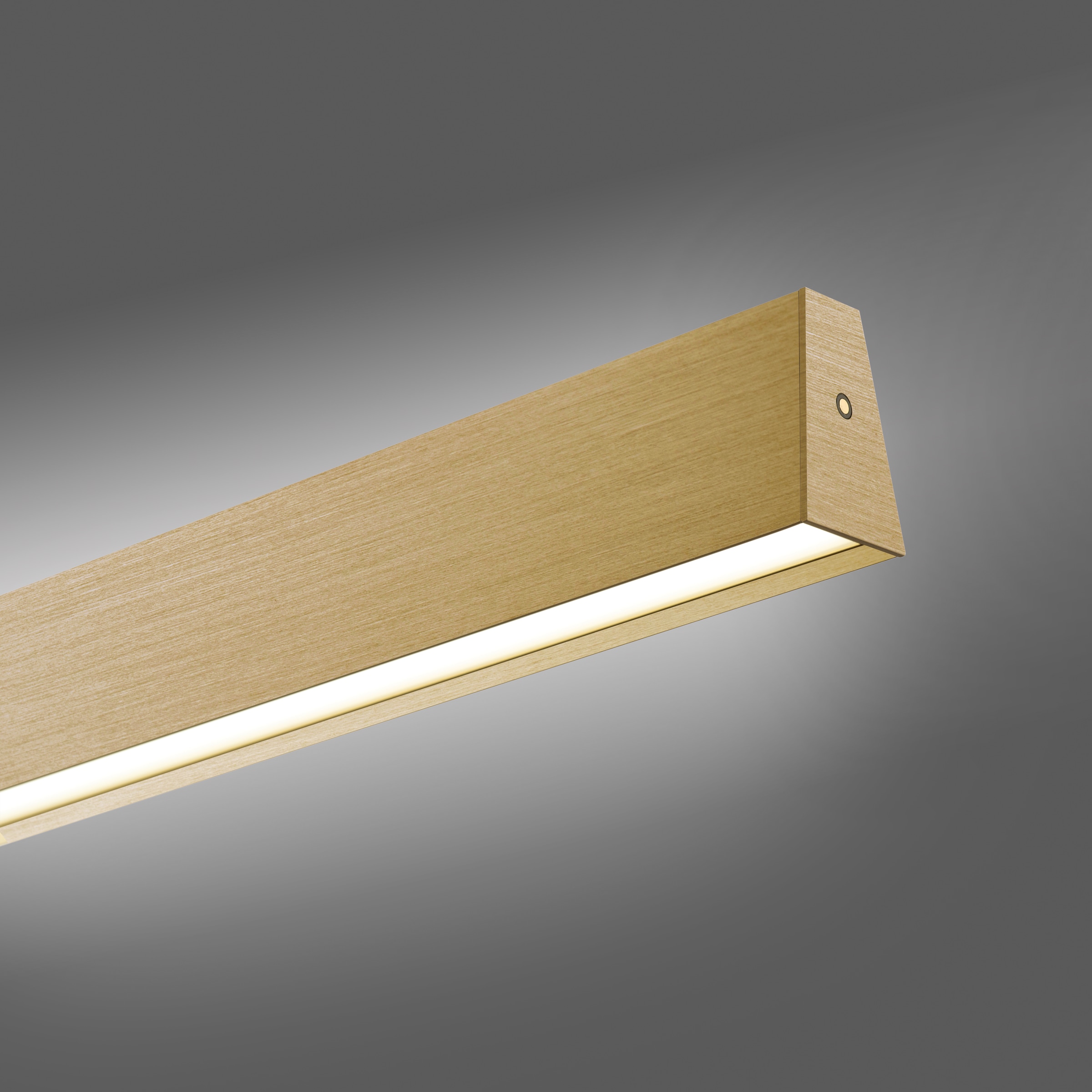 Neuhaus PURE LED Pendelleuchte »PURE E-Motion« LED-Board 1 Stk. warmweiß - kaltweiß e-LIFT® Funktion, CCT, dimmbar, Up-&Downlight