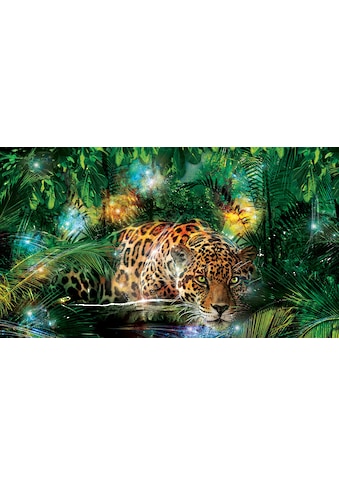 Consalnet Fototapetas »Jaguar im Dschungel« Moti...