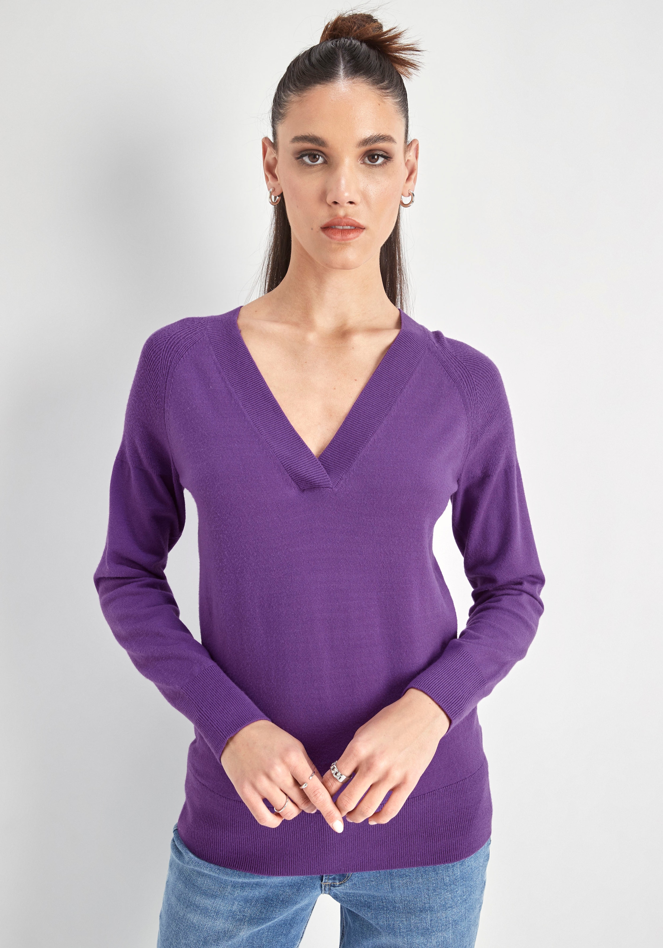 HECHTER PARIS Strickpullover, mit V-Ausschnitt