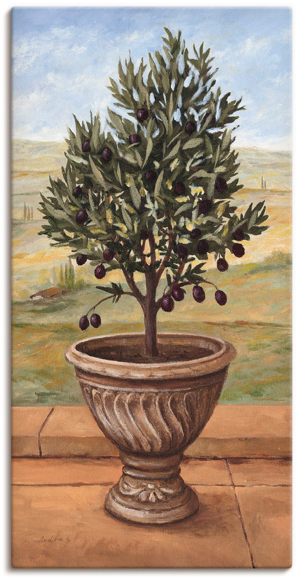 Artland Paveikslas »Olivenbaum« Pflanzen (1 St...