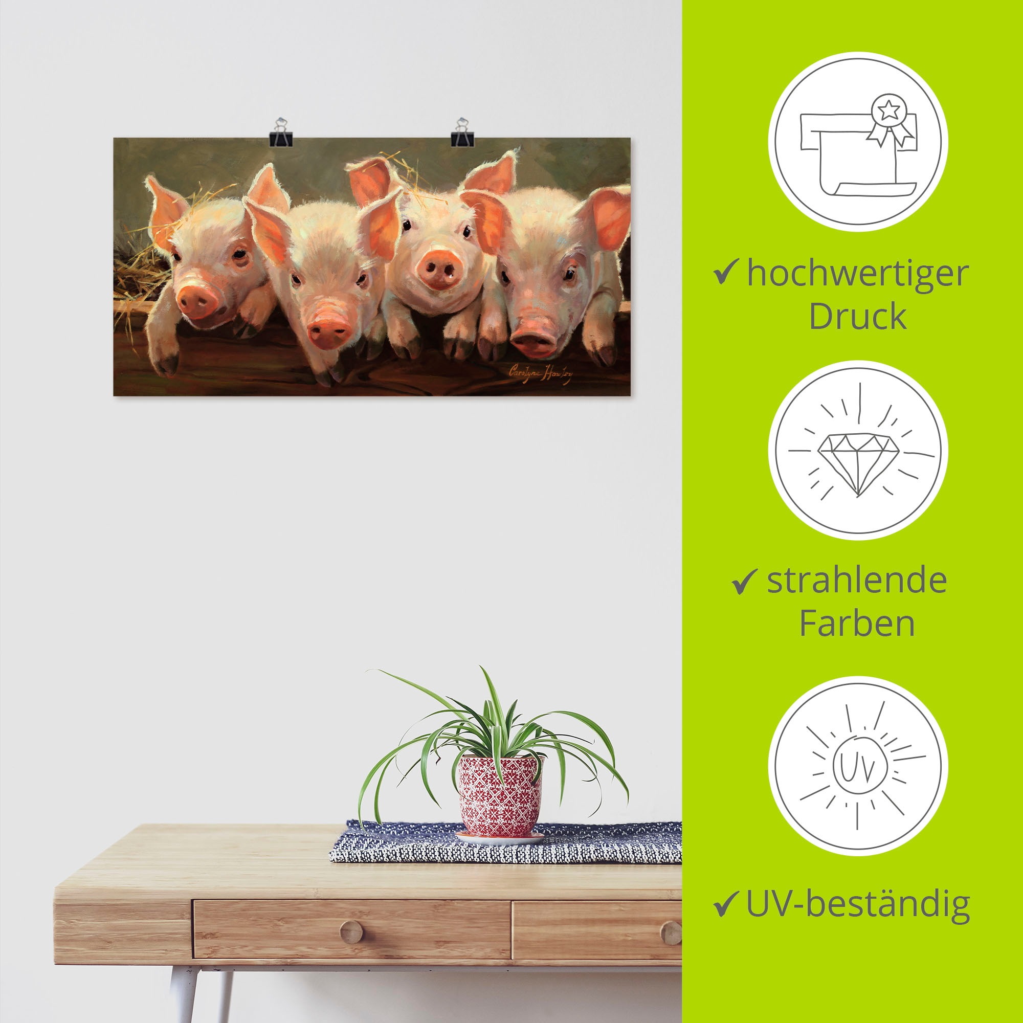 Artland Poster »Das große Grunzen« Haustiere 1 Stk. tlg. ohne Rahmen