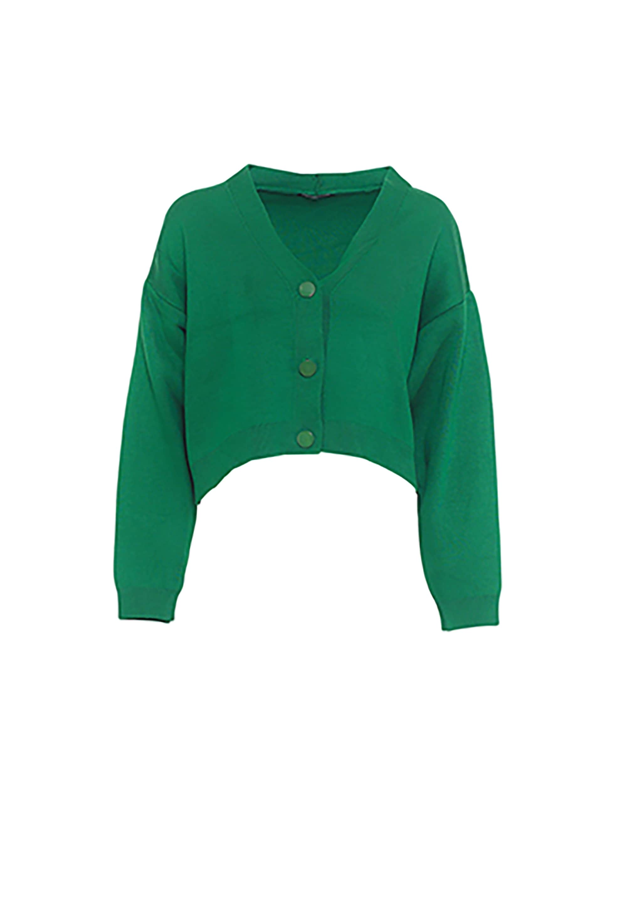 freshlions Strickjacke »Aylen«, mit kurzem Schnitt