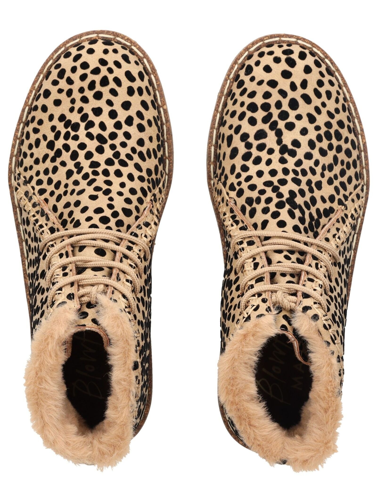 Blowfish Schnürstiefelette »Blowfish Stiefelette Lederimitat/Textil«