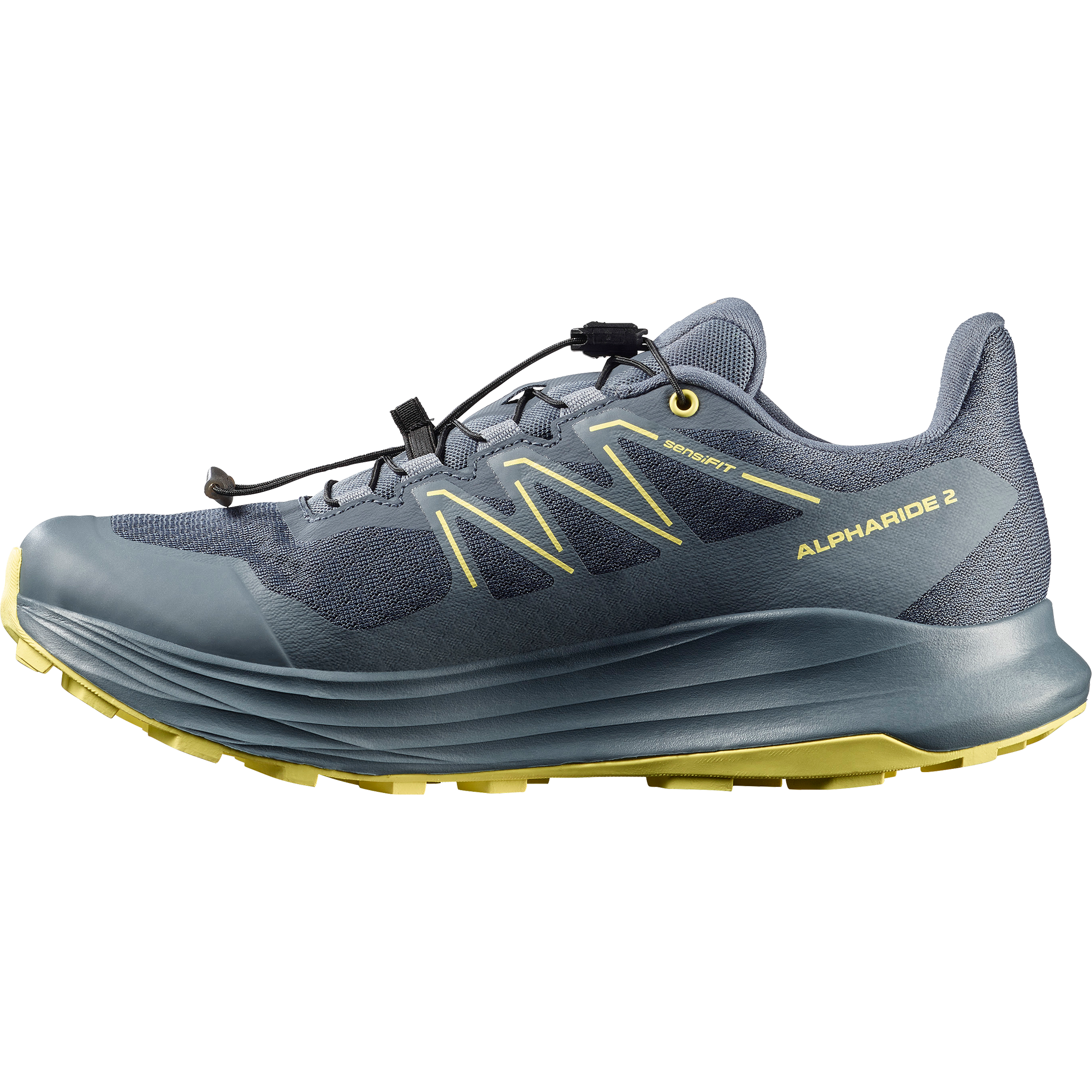 Salomon Trailrunningschuh »ALPHARIDE 2 GORE-TEX«  wasserdicht