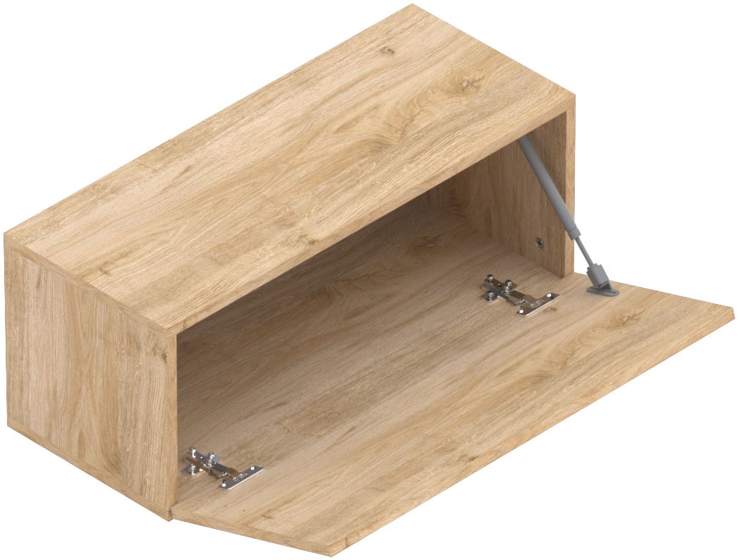 Home affaire Hängevitrine "Infinity Breite 69 cm, Höhe 29 cm, Hängeschrank günstig online kaufen