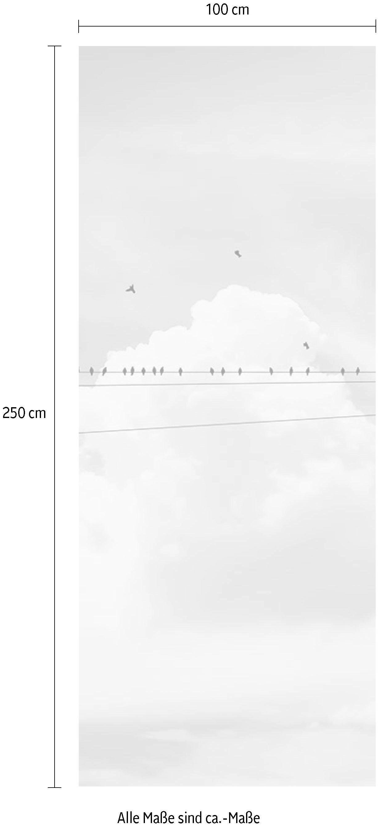 Komar Vliestapete »Digitaldruck Vlies -  Cloud Wire Panel - Größe 100 x 250 cm« bedruckt glatt Wohnzimmer, Schlafzimmer
