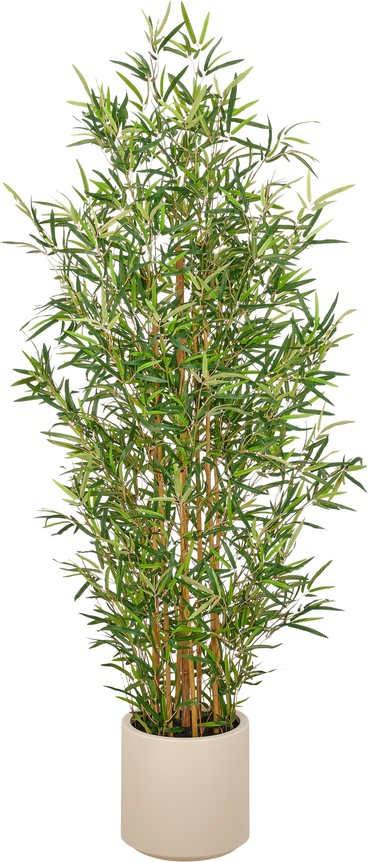 Creativ green Kunstbambus "Bambus fargesia" mit naturgetreuem Blattwerk