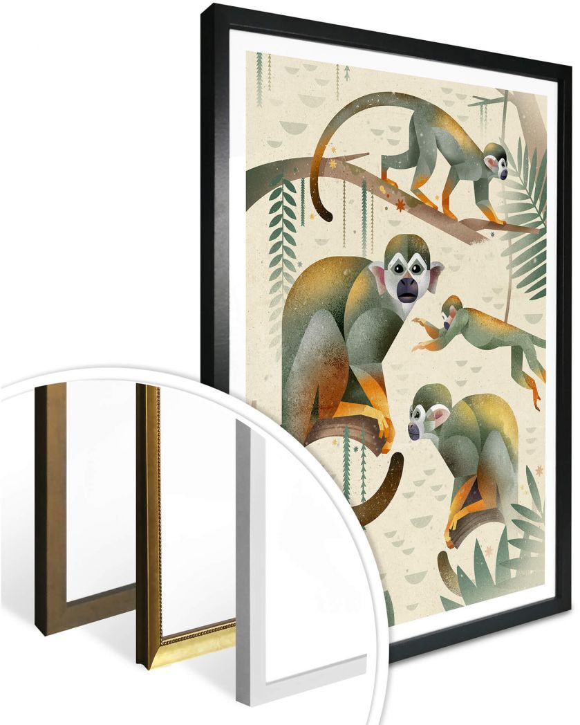 Poster Wandbild, bestellen | Monkeys«, St.), Wall-Art Wandposter »Squirrel BAUR (1 Poster, Tiere, Bild,