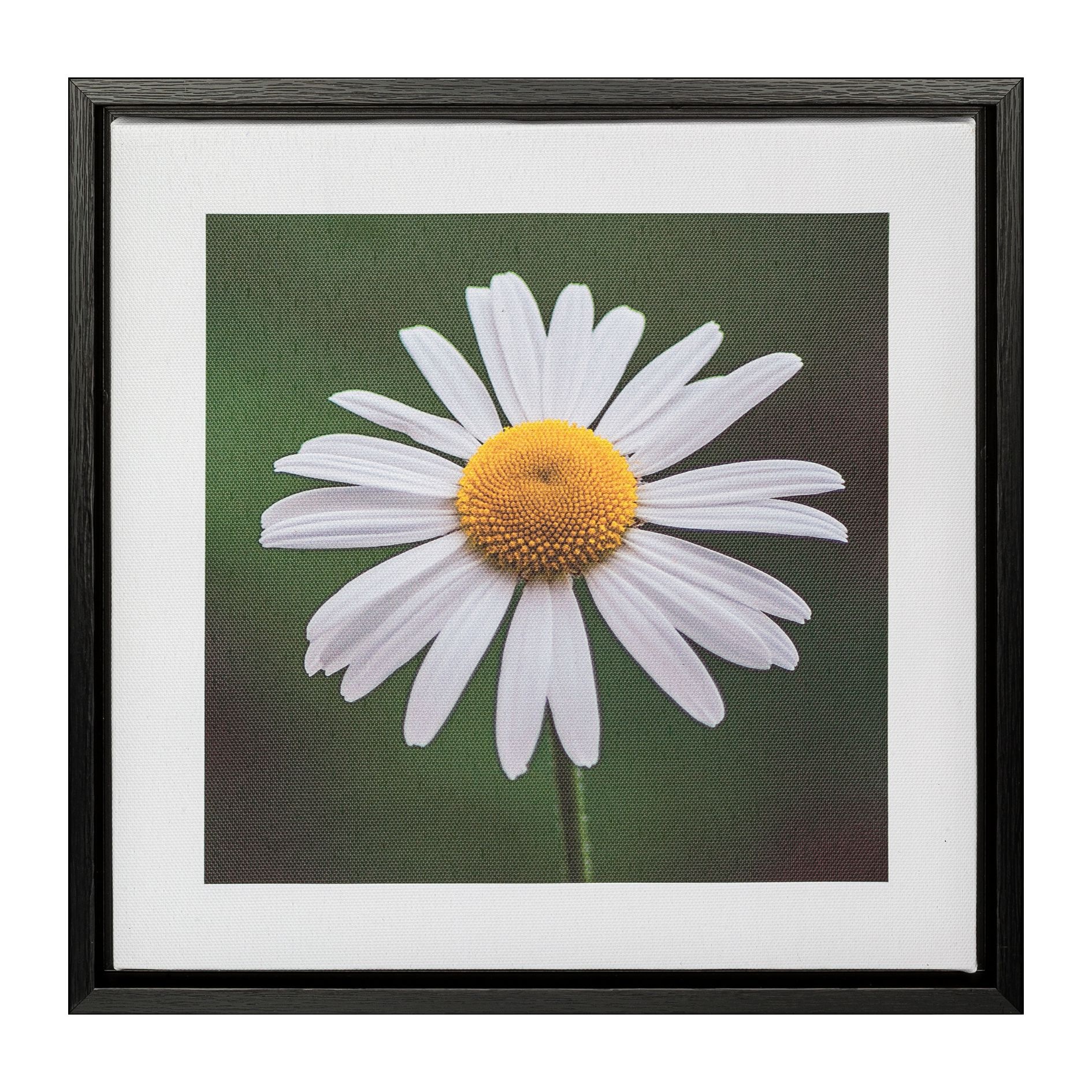 Creativ home Bild mit Rahmen »Blüte und Tau«, (2 St.), auf Canvas-Leinwand