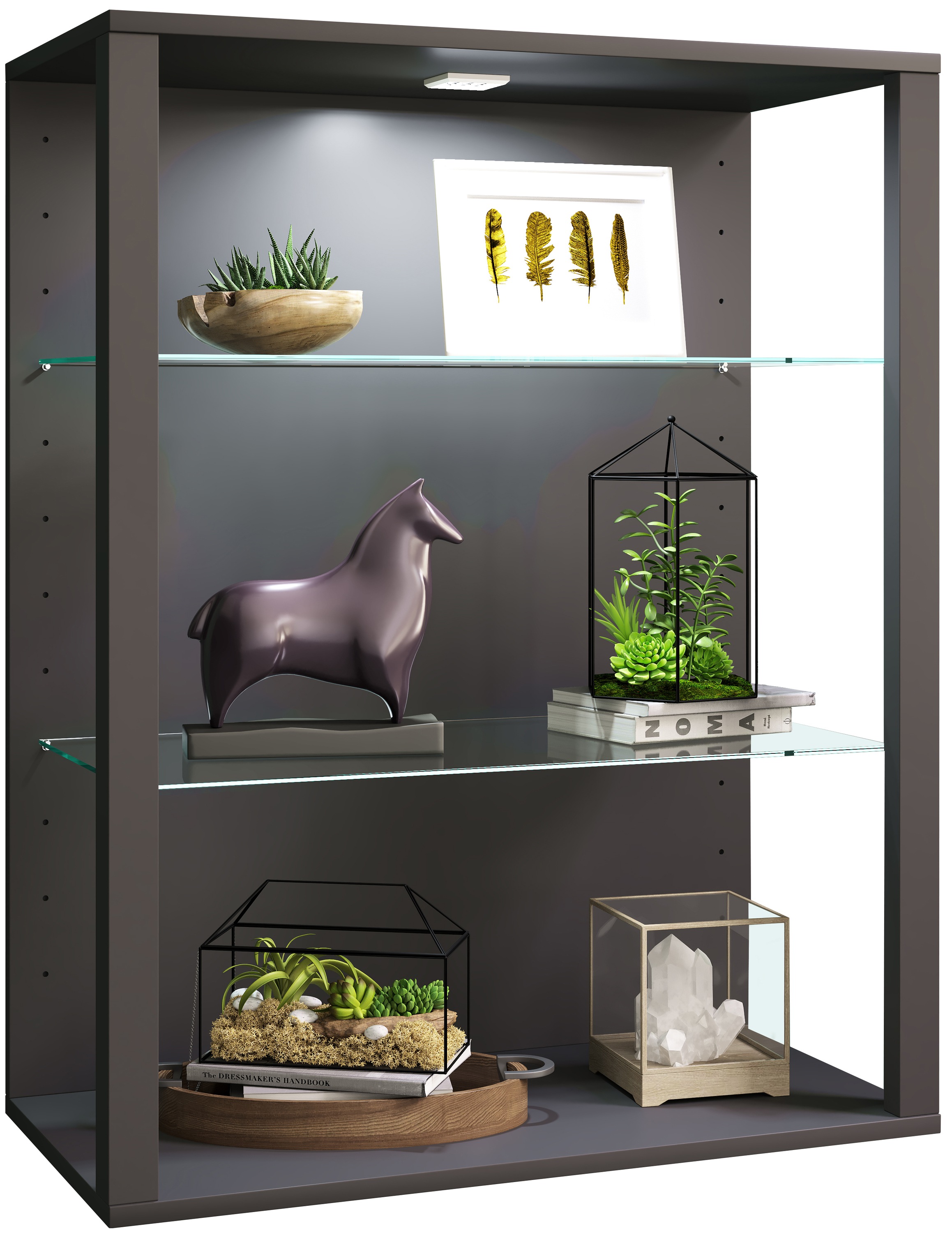 Wandregal VCM, B:70cm T:35cmanthrazit, Wohnzimmer, Regale, "olz Glas Stand Vitrine Sammelvitrine Glasol LW"