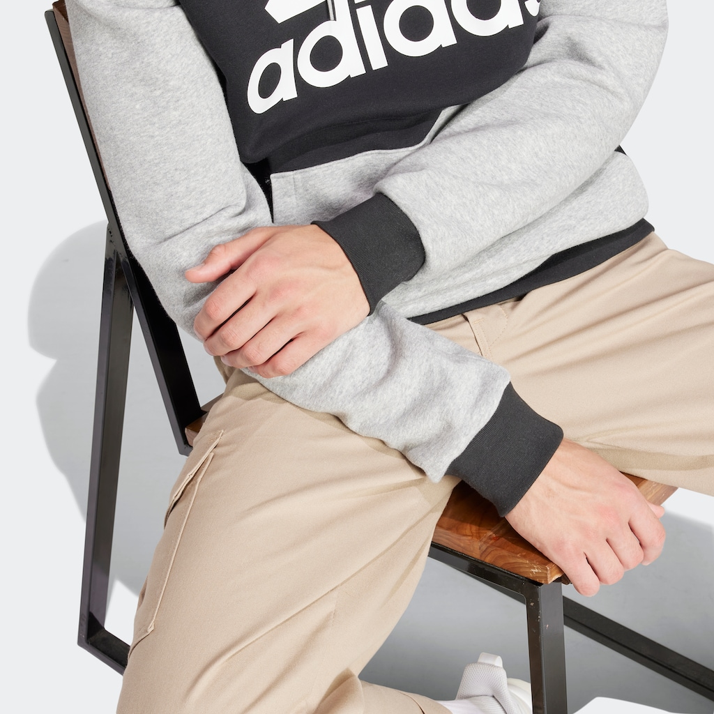 adidas Sportswear Kapuzensweatshirt »ESSENTIALS BIG LOGO HOODIE«