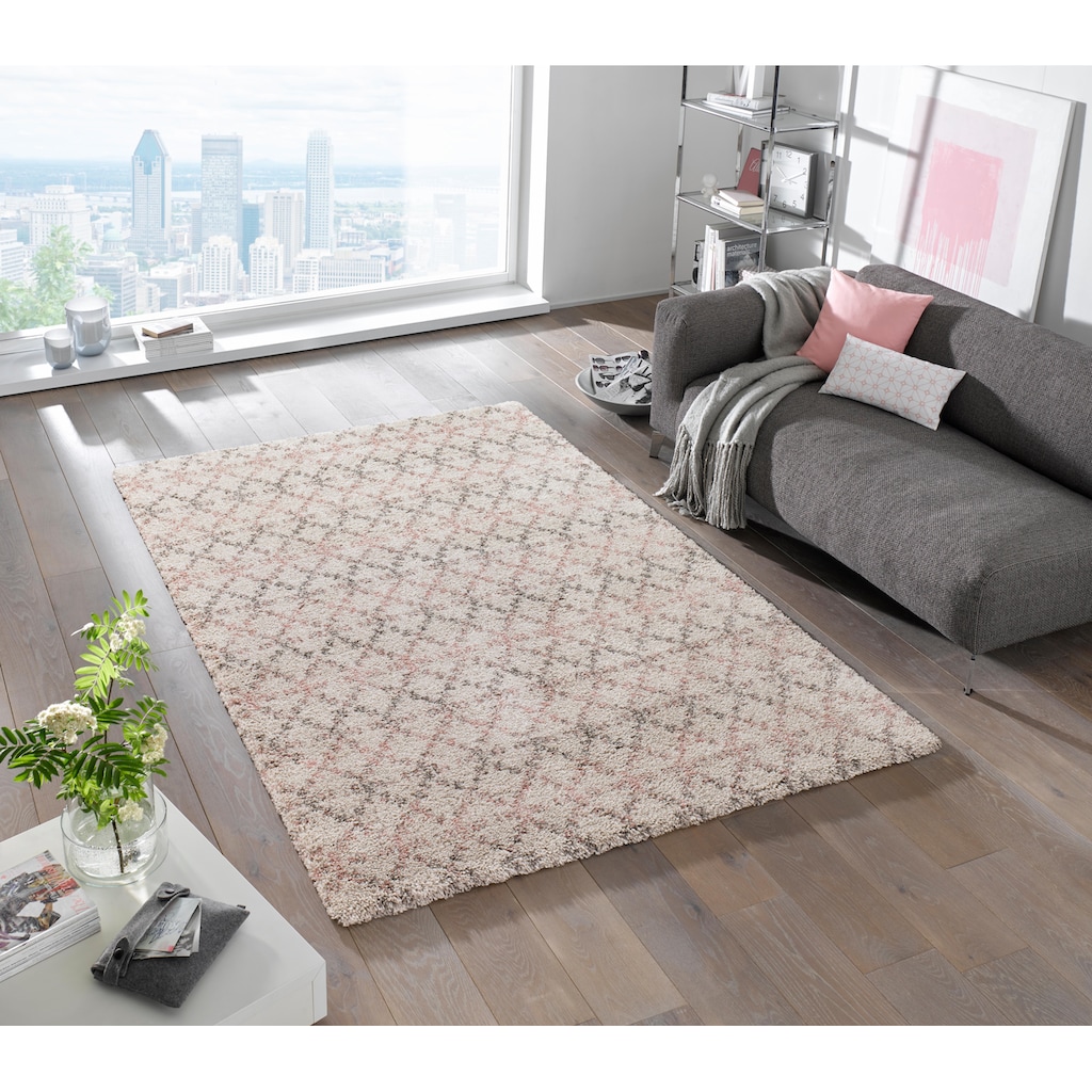 HANSE Home Hochflor-Teppich »Cameo«, rechteckig