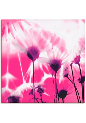 Artland Paveikslas »Pusteblume abstrakt« Blume...
