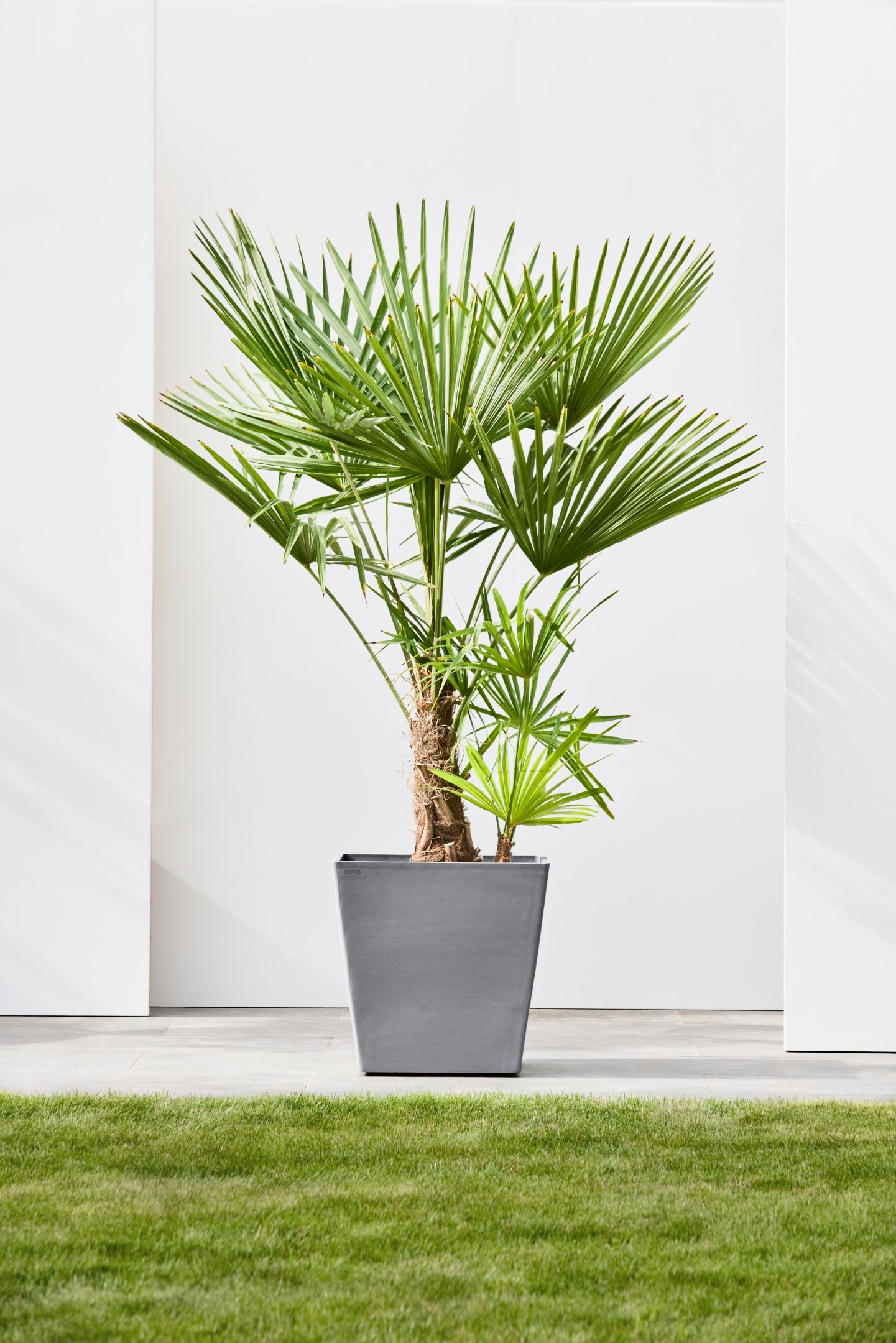 ECOPOTS Blumentopf »Rotterdam mit Rollen 50 Grau« für innen und außen: frostsicher, bruchsicher und lichtbeständig