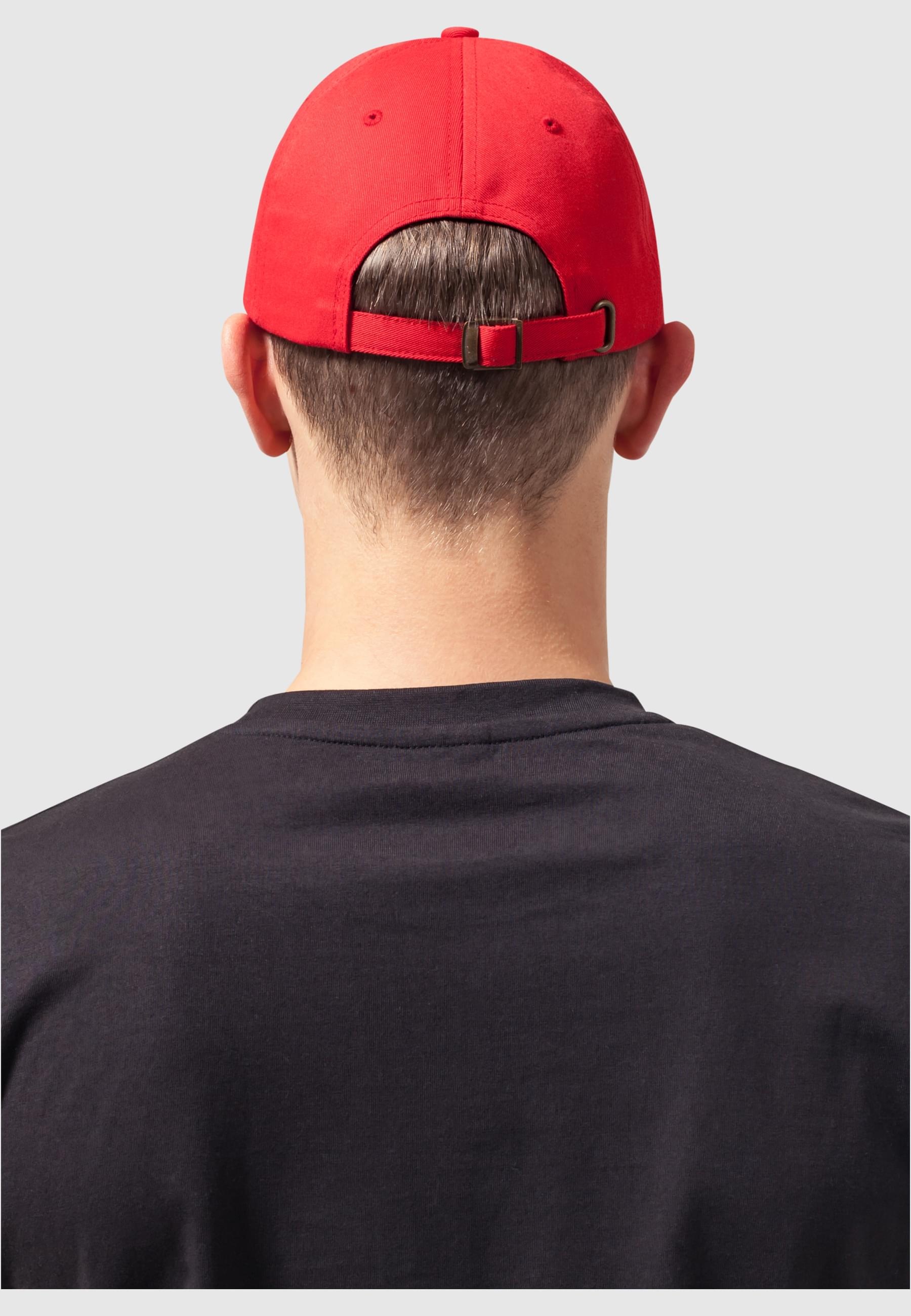Flexfit Flex Cap »Flexfit Unisex Low Profile Cotton Twill«