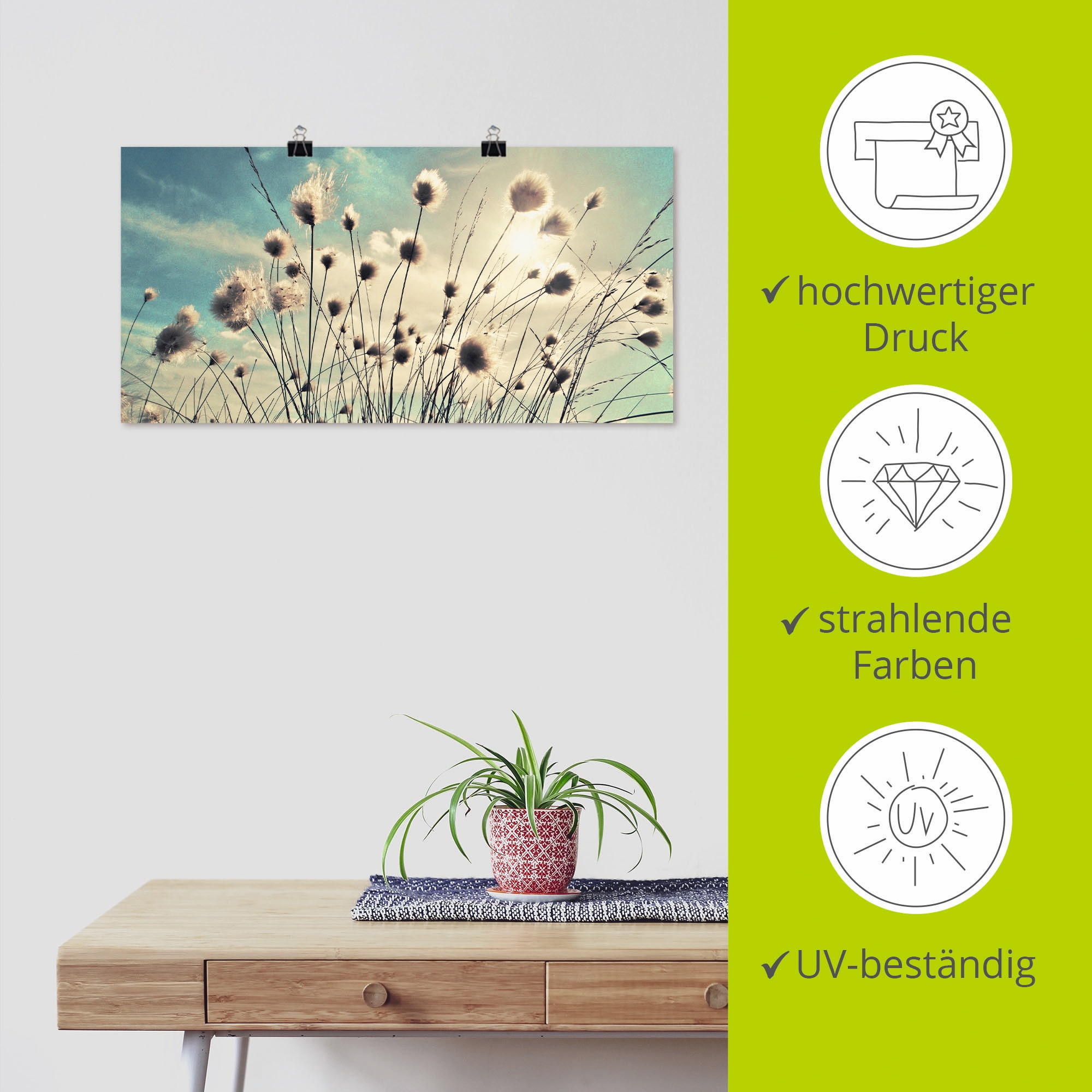 Artland Wandbild »Wollgras«, Gräser, (1 St.), als Alubild, Outdoorbild, Leinwandbild, Poster, Wandaufkleber