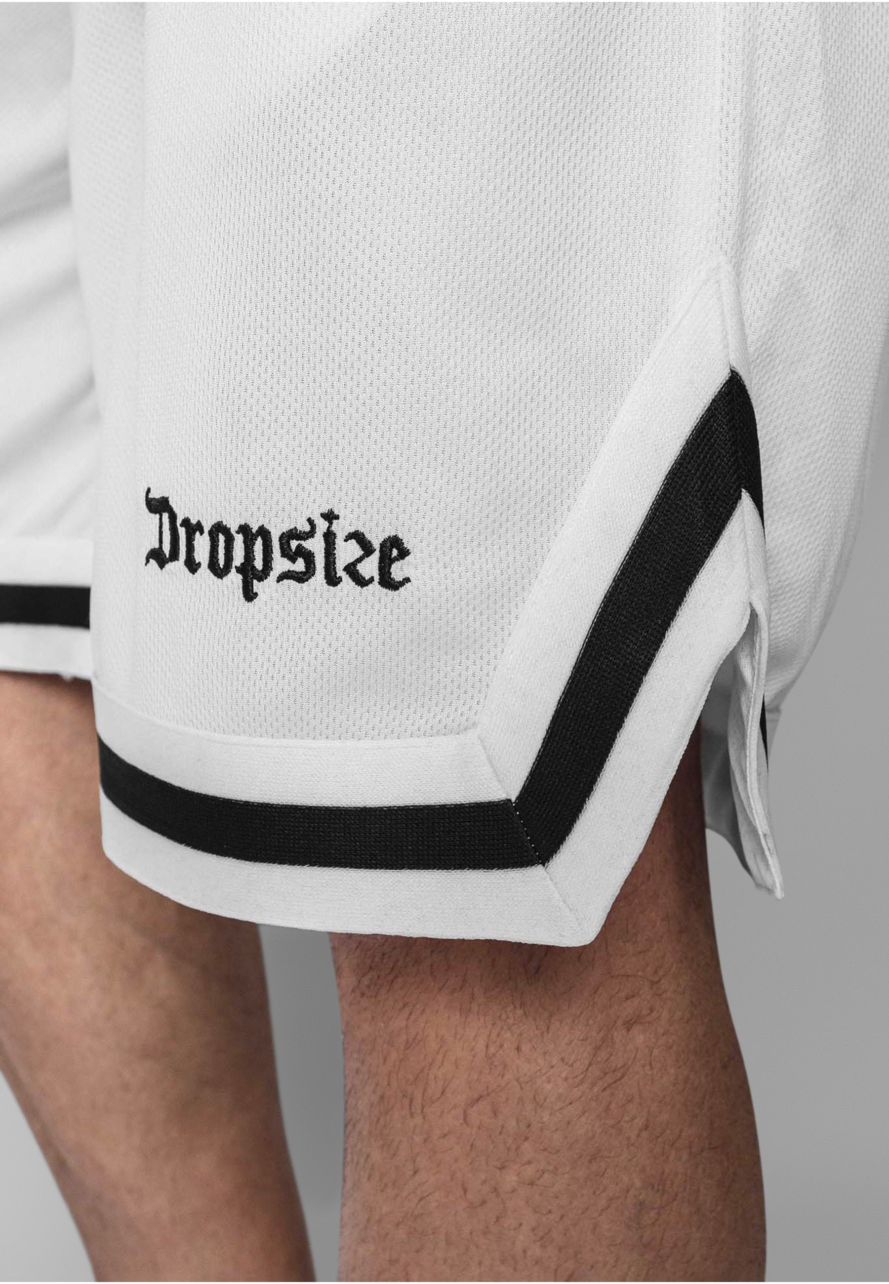 Dropsize »Dropsize Herren Dropsize Logo Mesh Shorts«