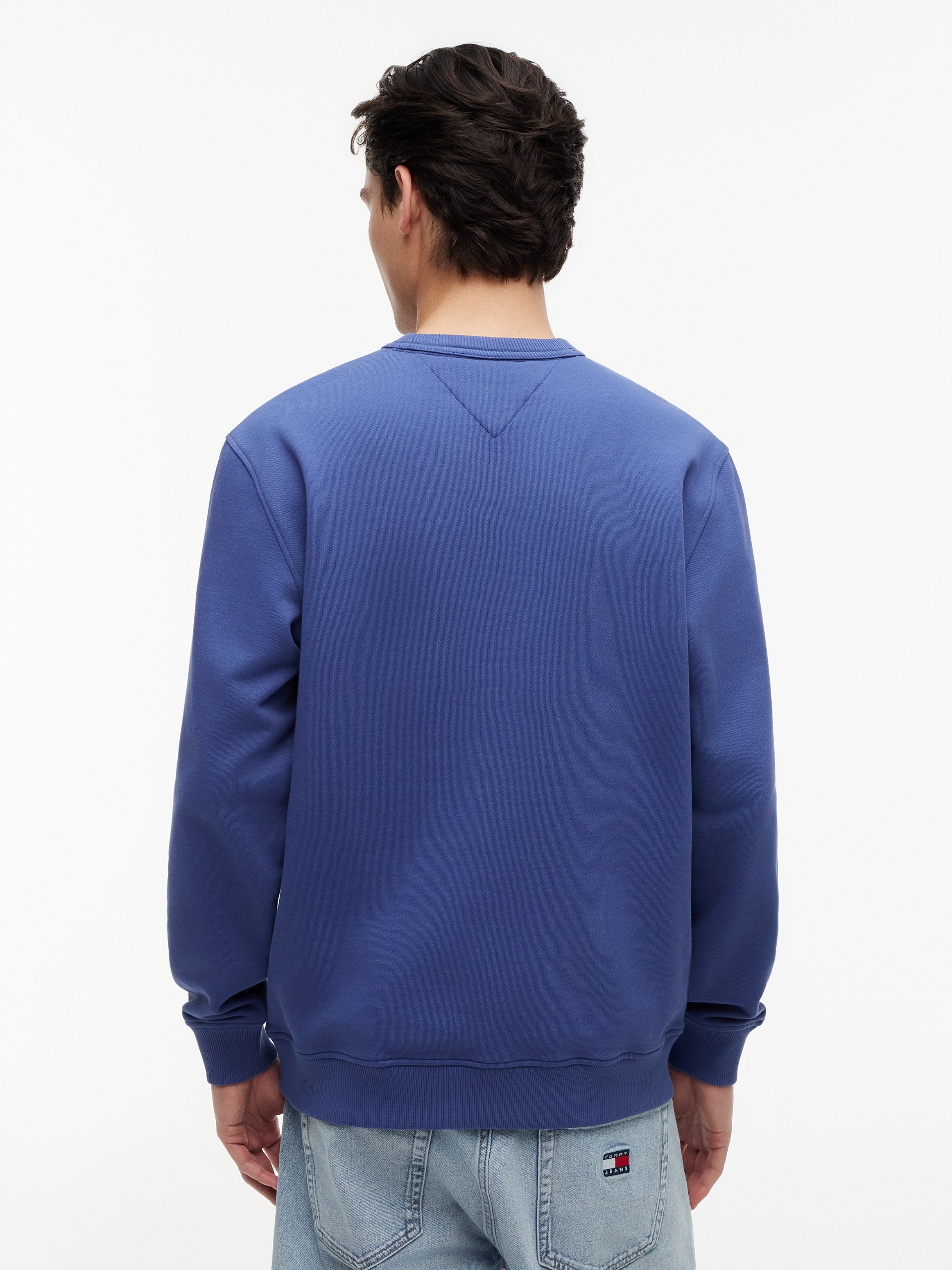Tommy Jeans Sweatshirt »TJM REG BADGE CREW EXT«
