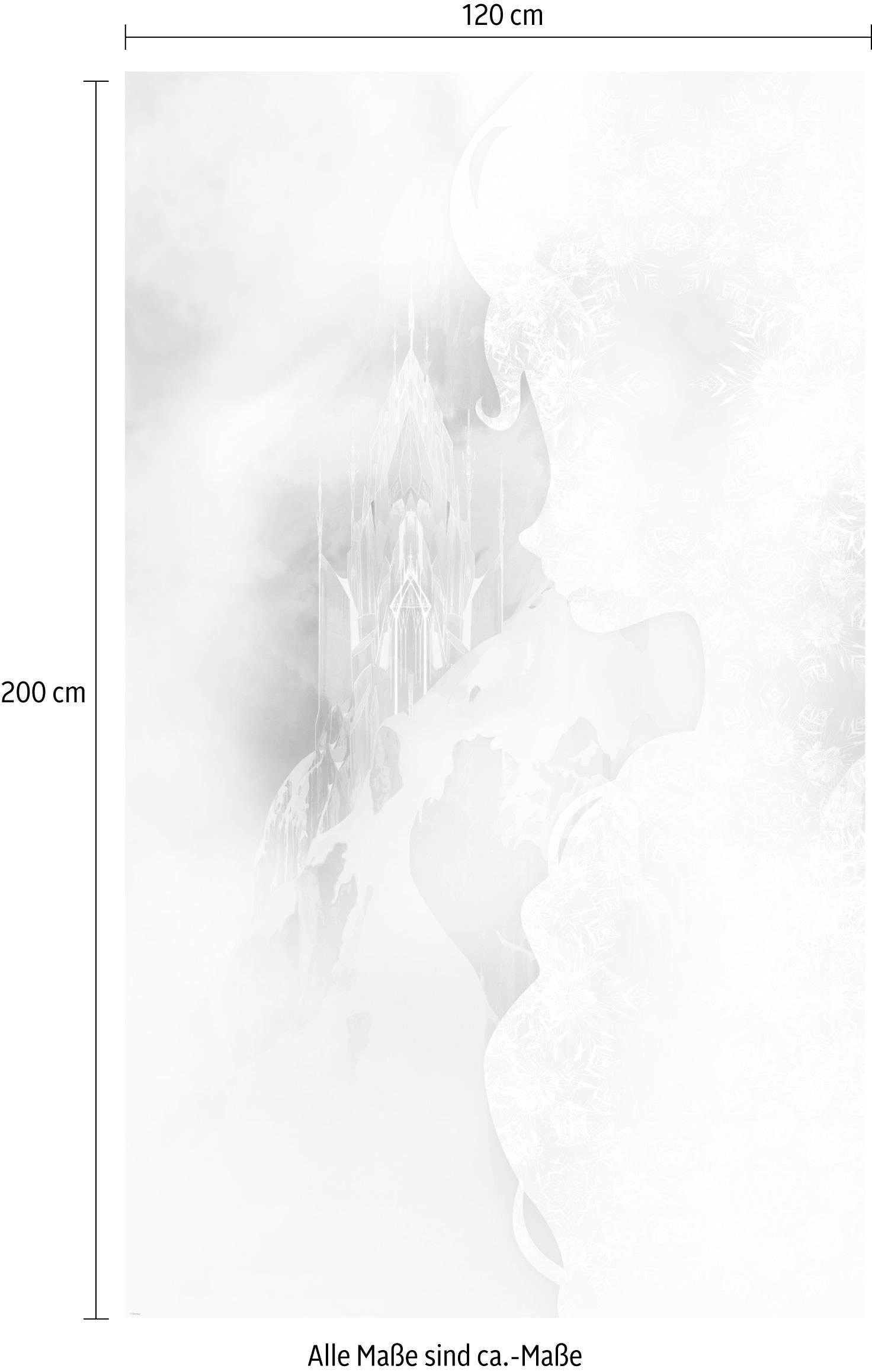 Komar Vliestapete »Frozen Winter Mist«, 120x200 cm (Breite x Höhe),  Vliestapete, 100 cm Bahnbreite bestellen | BAUR