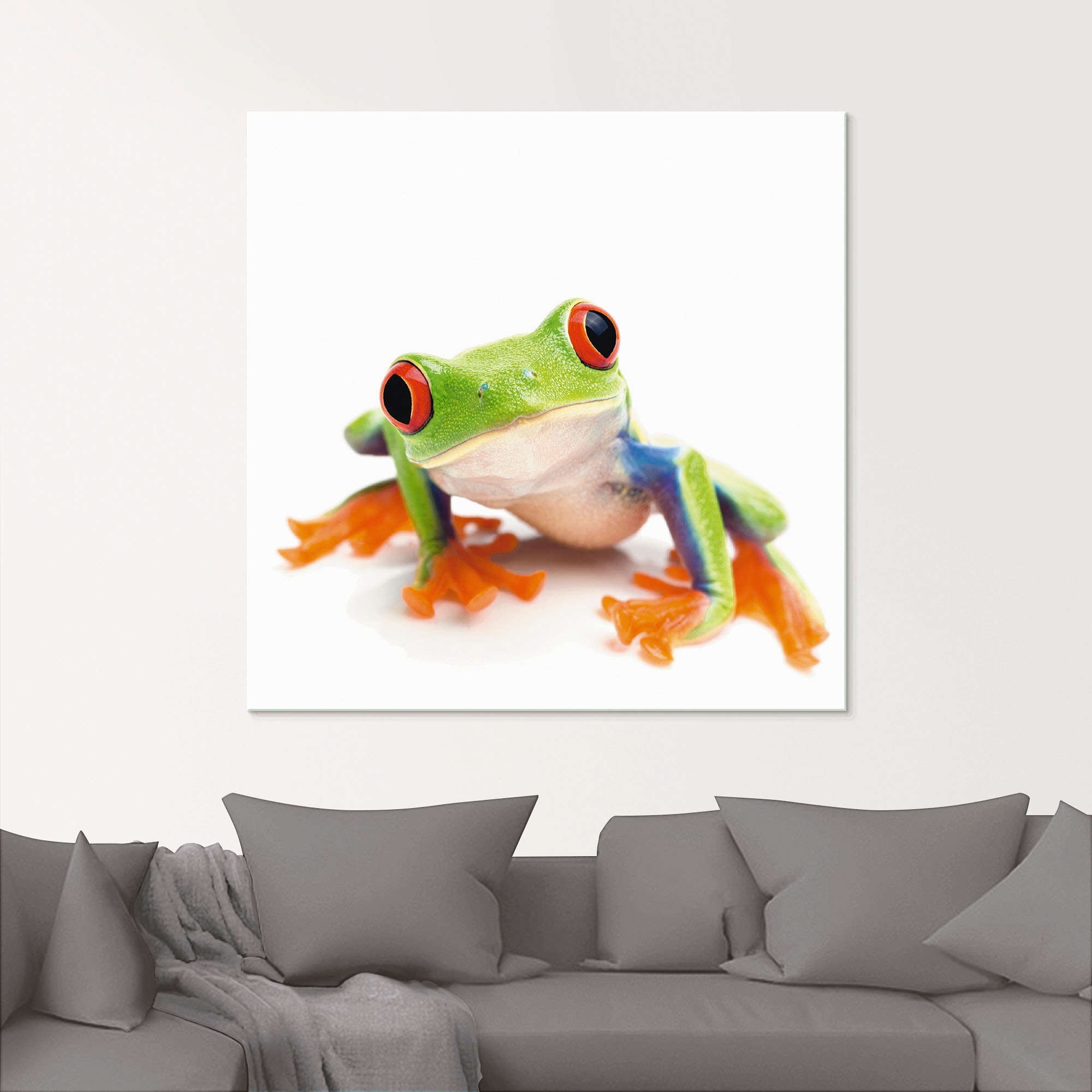 Artland Glasbild »Großaufnahme eines Frosches vor weiß«, Wassertiere, (1 St.), in verschiedenen Größen