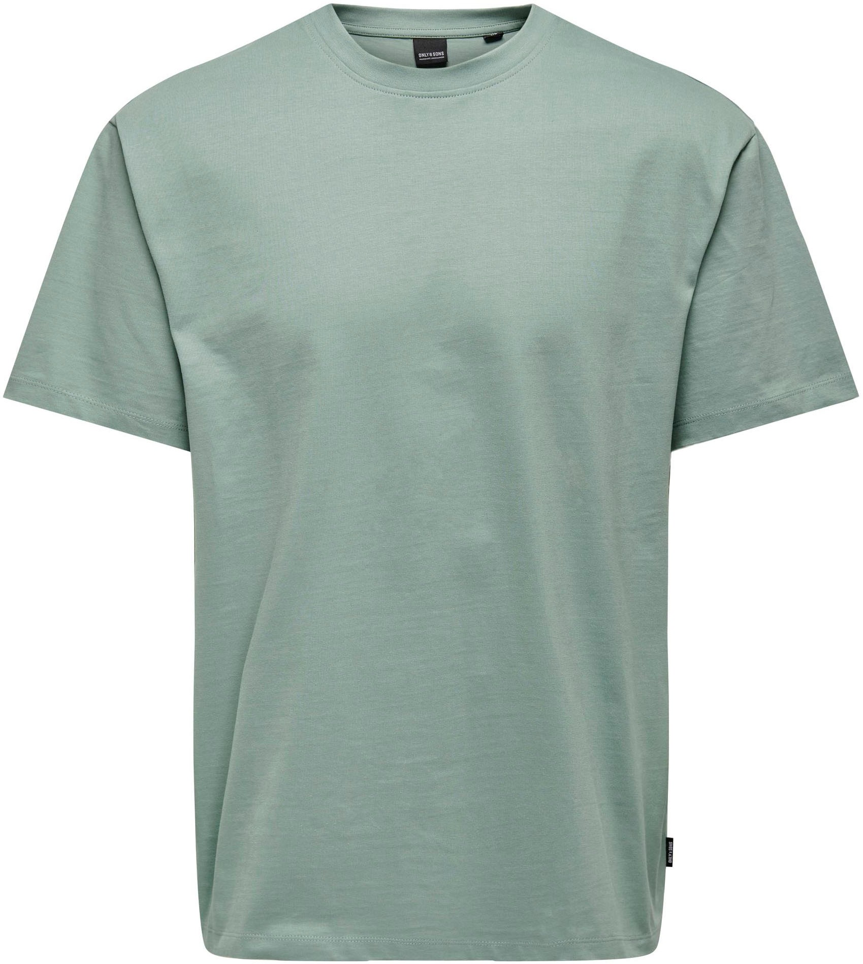 ONLY & SONS T-Shirt »ONSFRED LIFE RLX SS TEE NOOS«