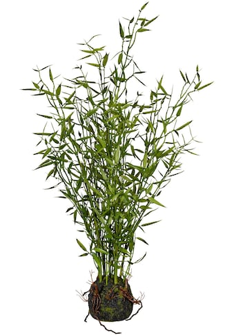 Creativ green Künstliche Zimmerpflanze »Bambus im Mo...