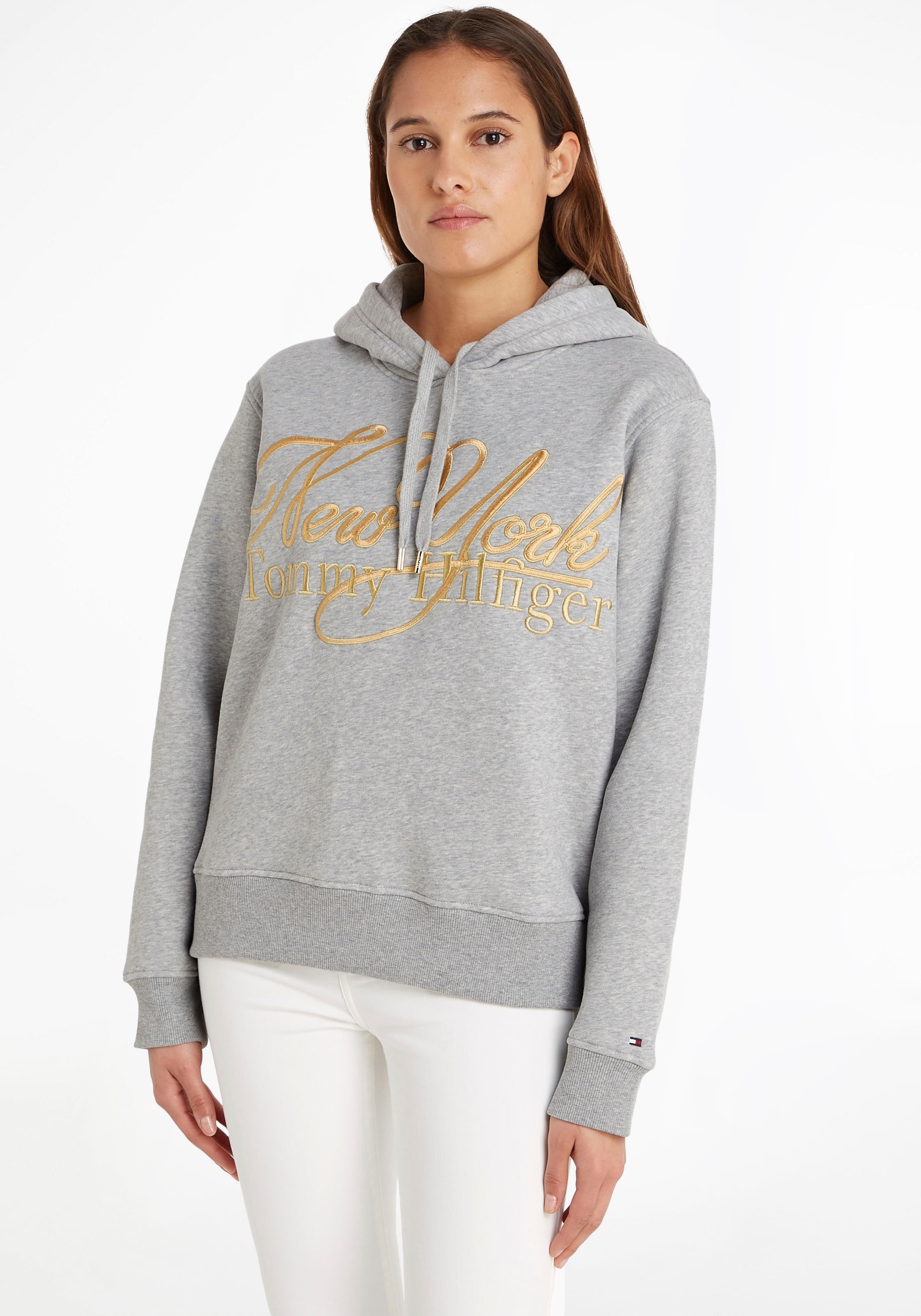 Tommy Hilfiger Kapuzensweatshirt »REG NY METALLIC HOODIE«, mit  metalicfarbenen Print u0026 Tommy Hilfiger Markenlabel bestellen | BAUR
