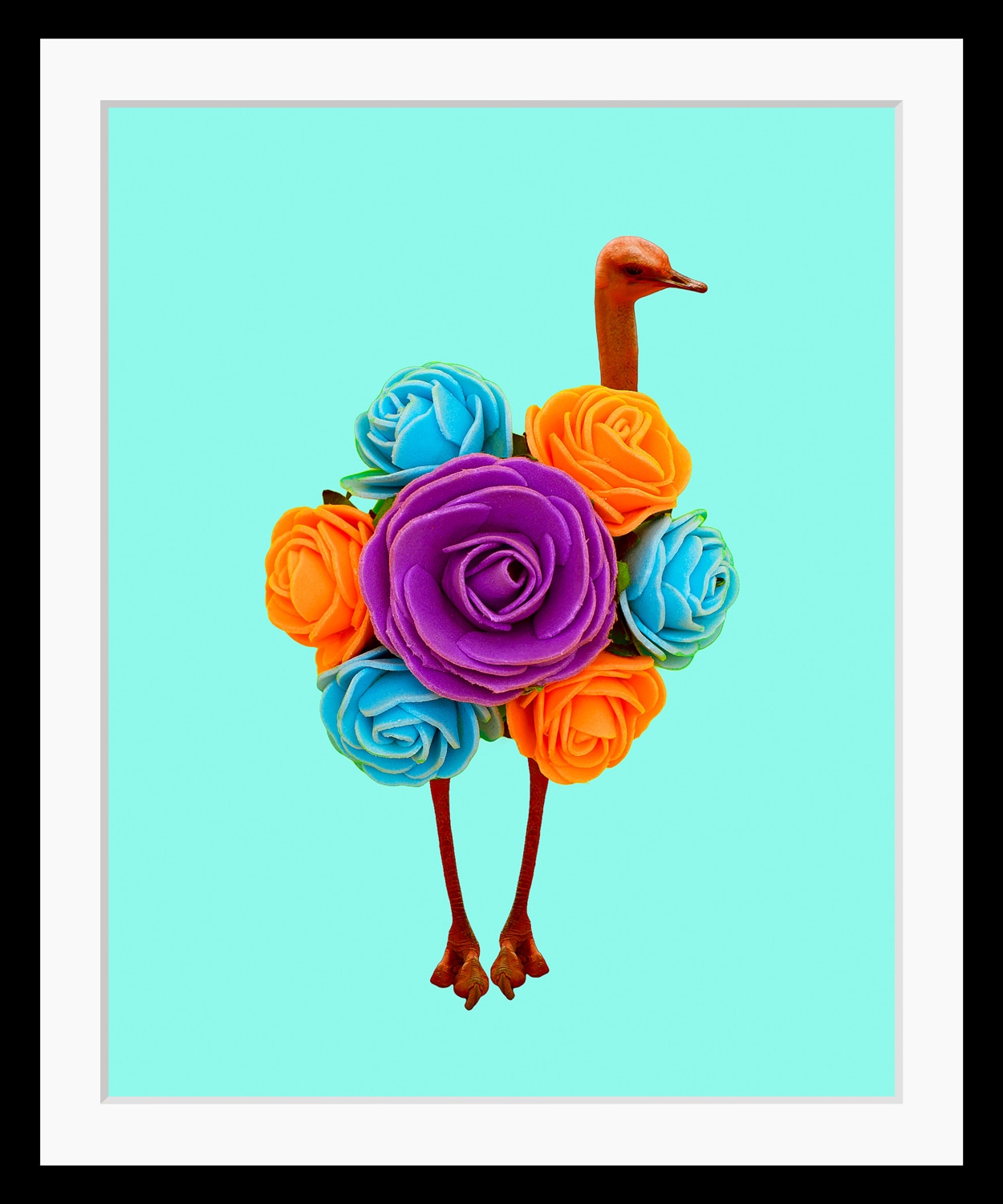 queence Bild "Amy", Blumen-Vögel-Vogelbilder-Kunst-Humor, HD Premium Poster günstig online kaufen