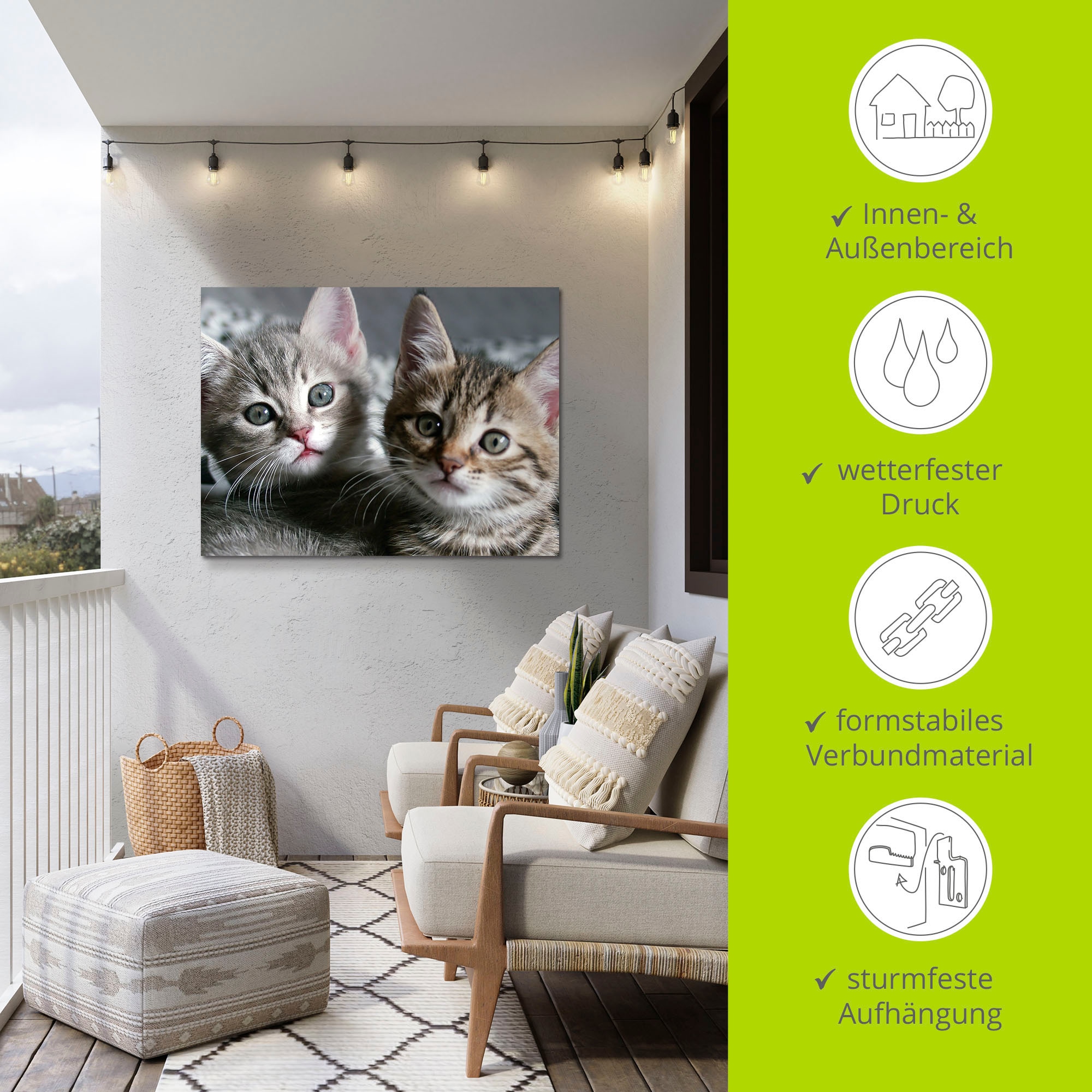 Artland Wandbild »Katze«, Haustiere, (1 St.), als Alubild, Outdoorbild, Leinwandbild, Poster, Wandaufkleber